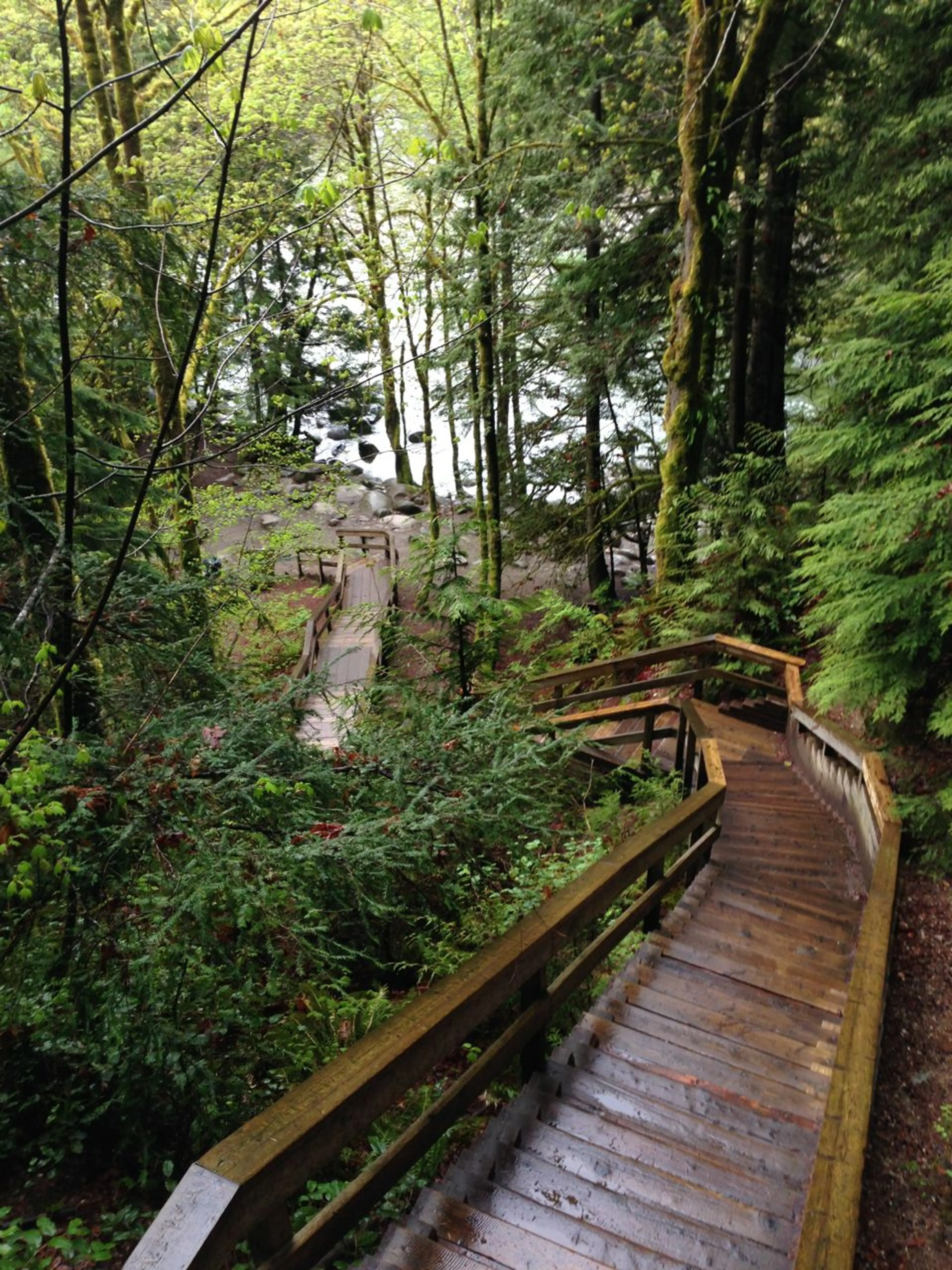Stairs on a trail near Lynn Creek in North Vancouver