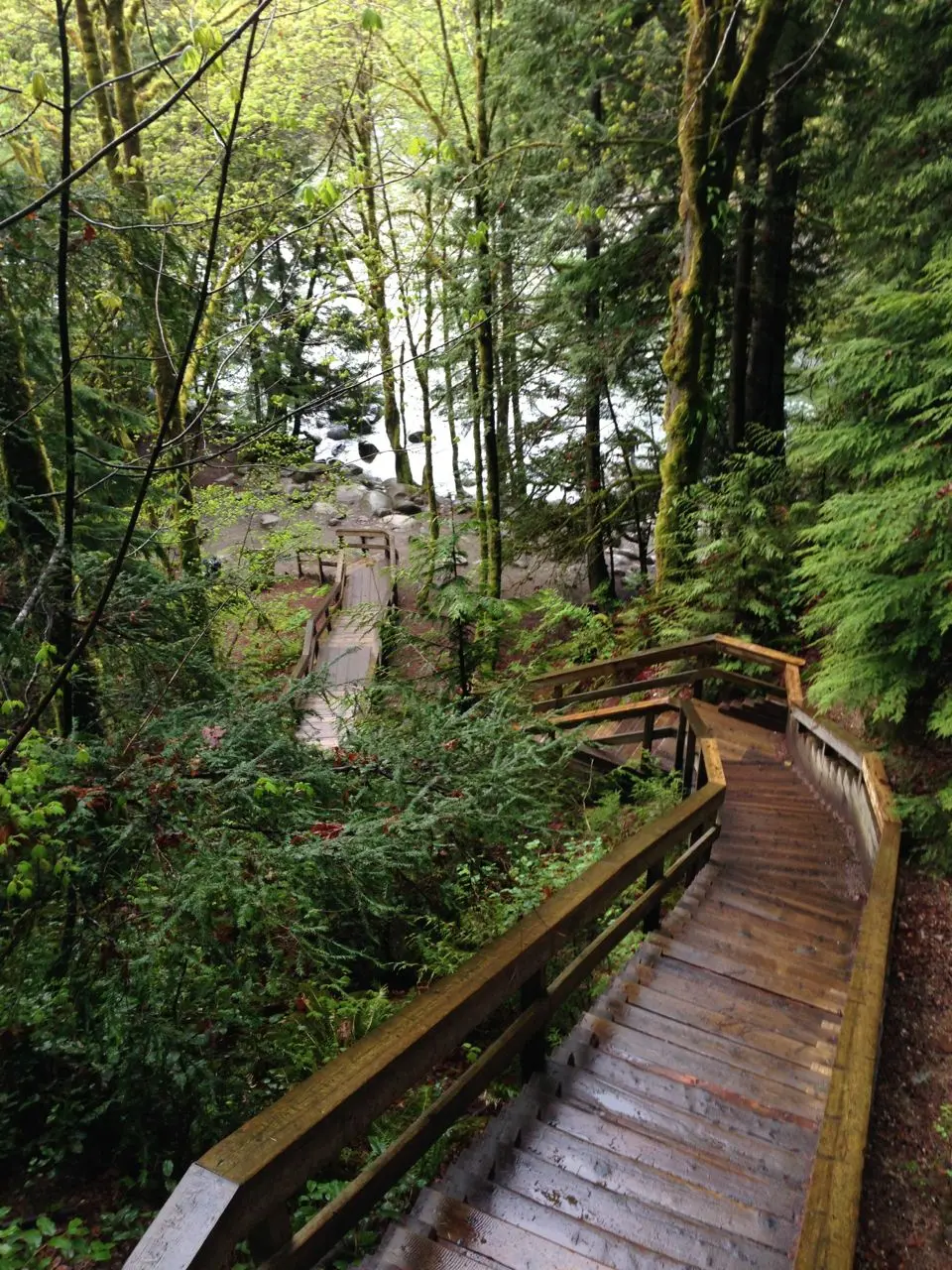 Stairs on a trail near Lynn Creek in North Vancouver