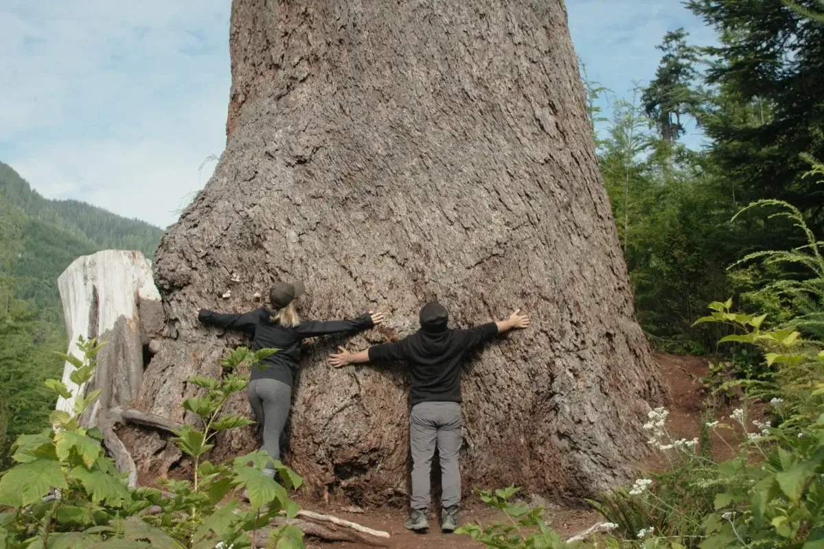 Still from the film Silvicola playing at the 2024 VIMFF