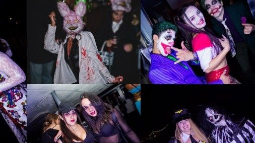 w-506h-284-4abbd9-Collage1