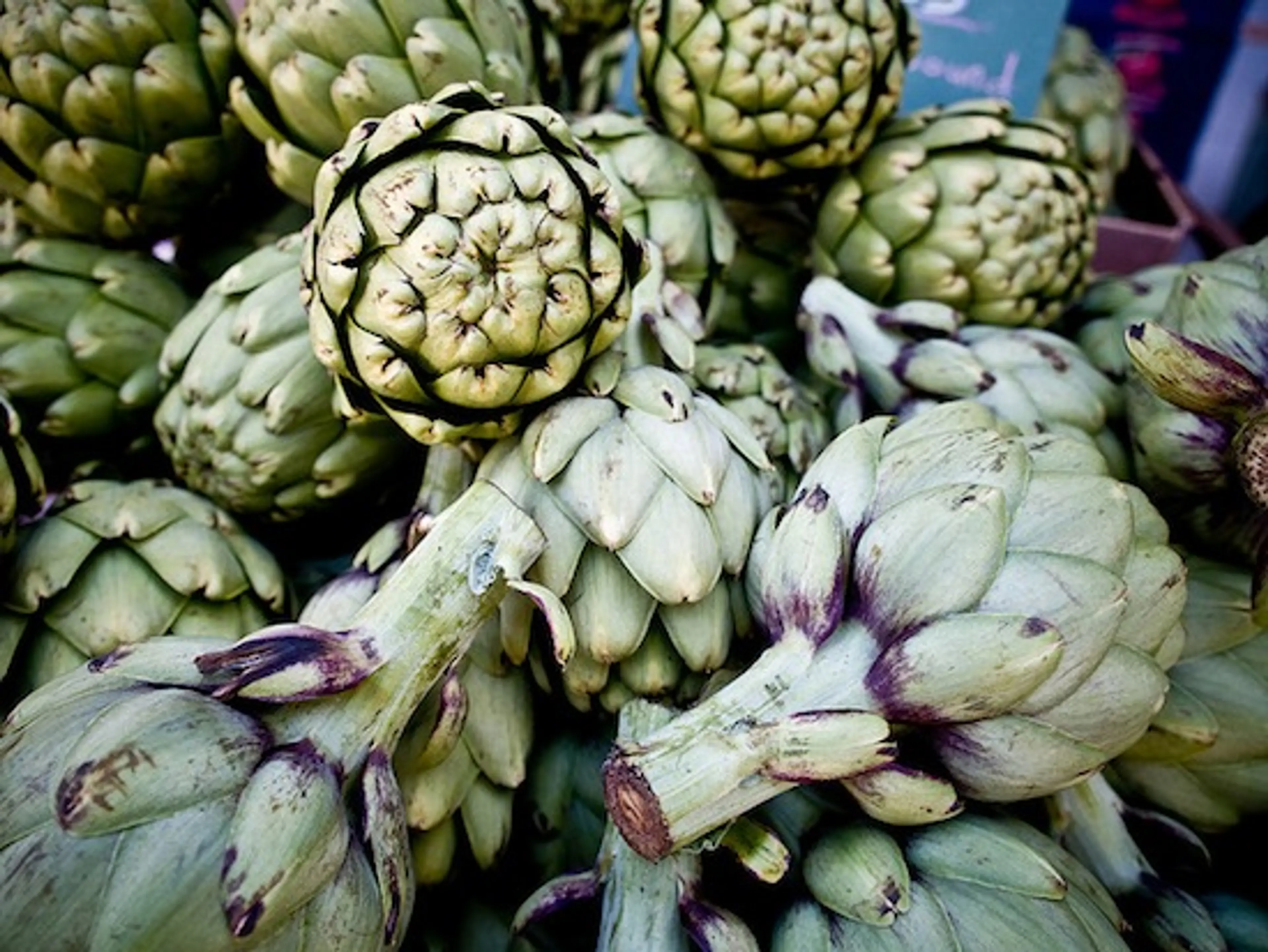 winter farmers market vancouver