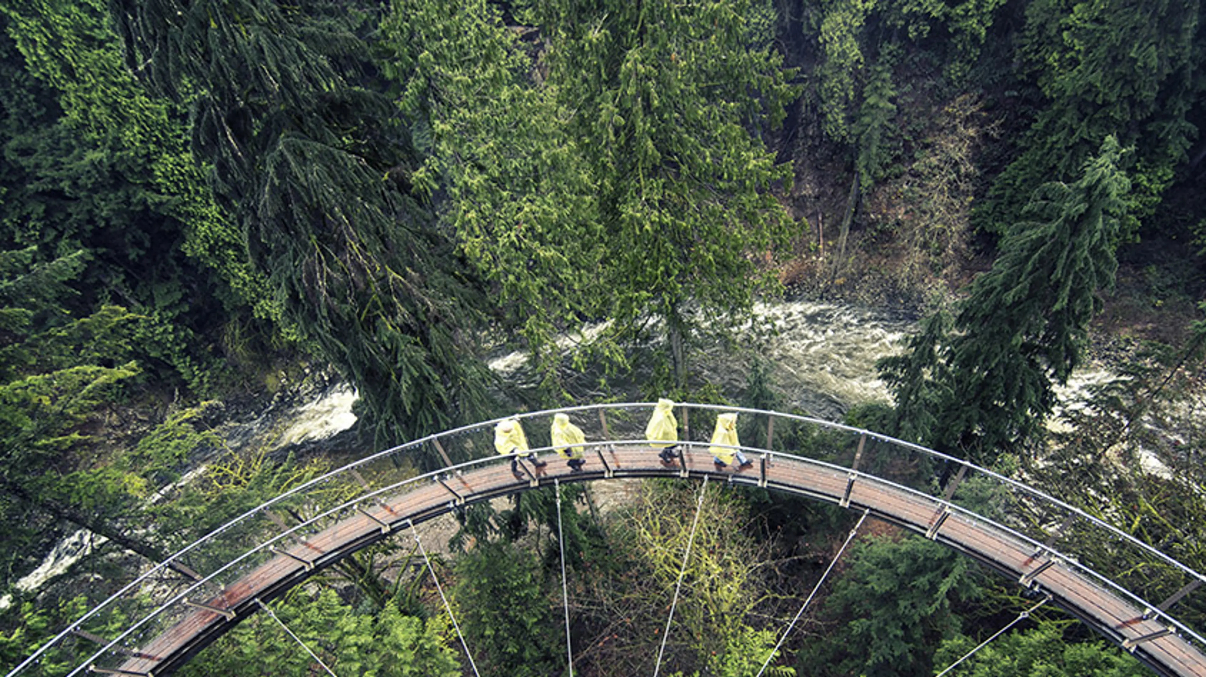 Capilano Suspension Bridge Park - Cliffwalk in the Rain