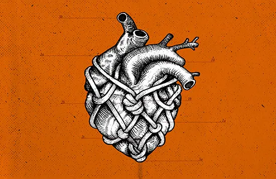 New Fall Book Releases by LGBTQ+ Vancouver Authors