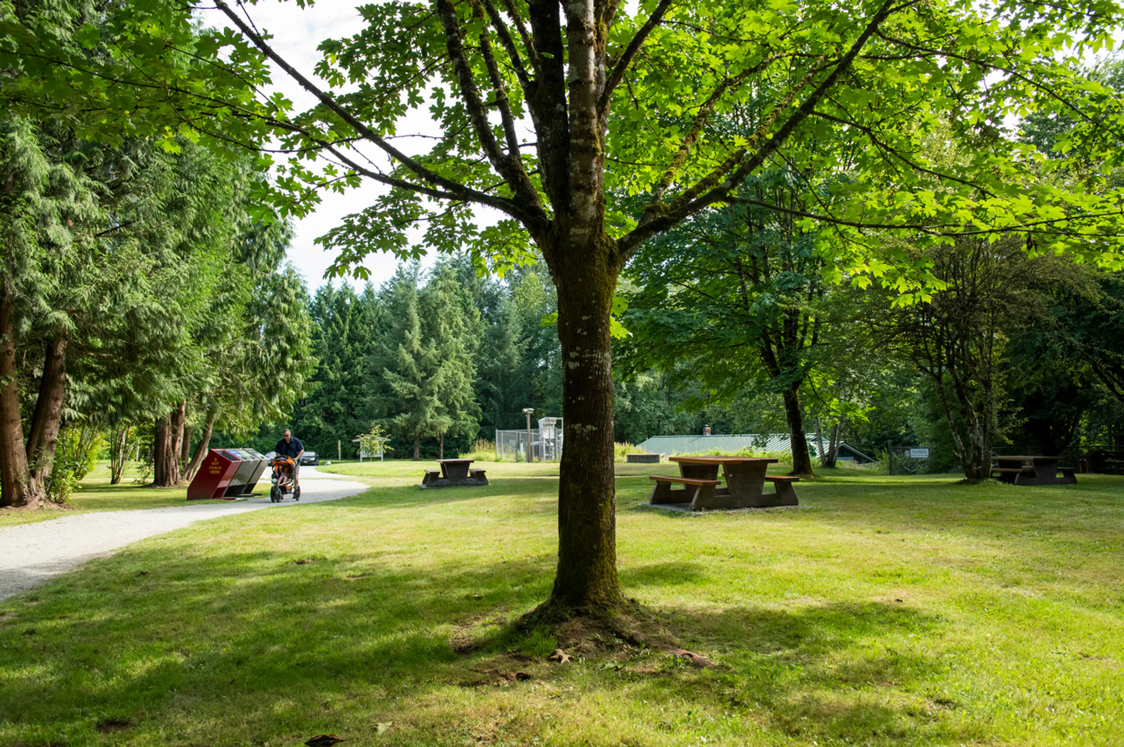 Picnic tables on a grassy lawn near the Hatchery in Tynehead Regional Park