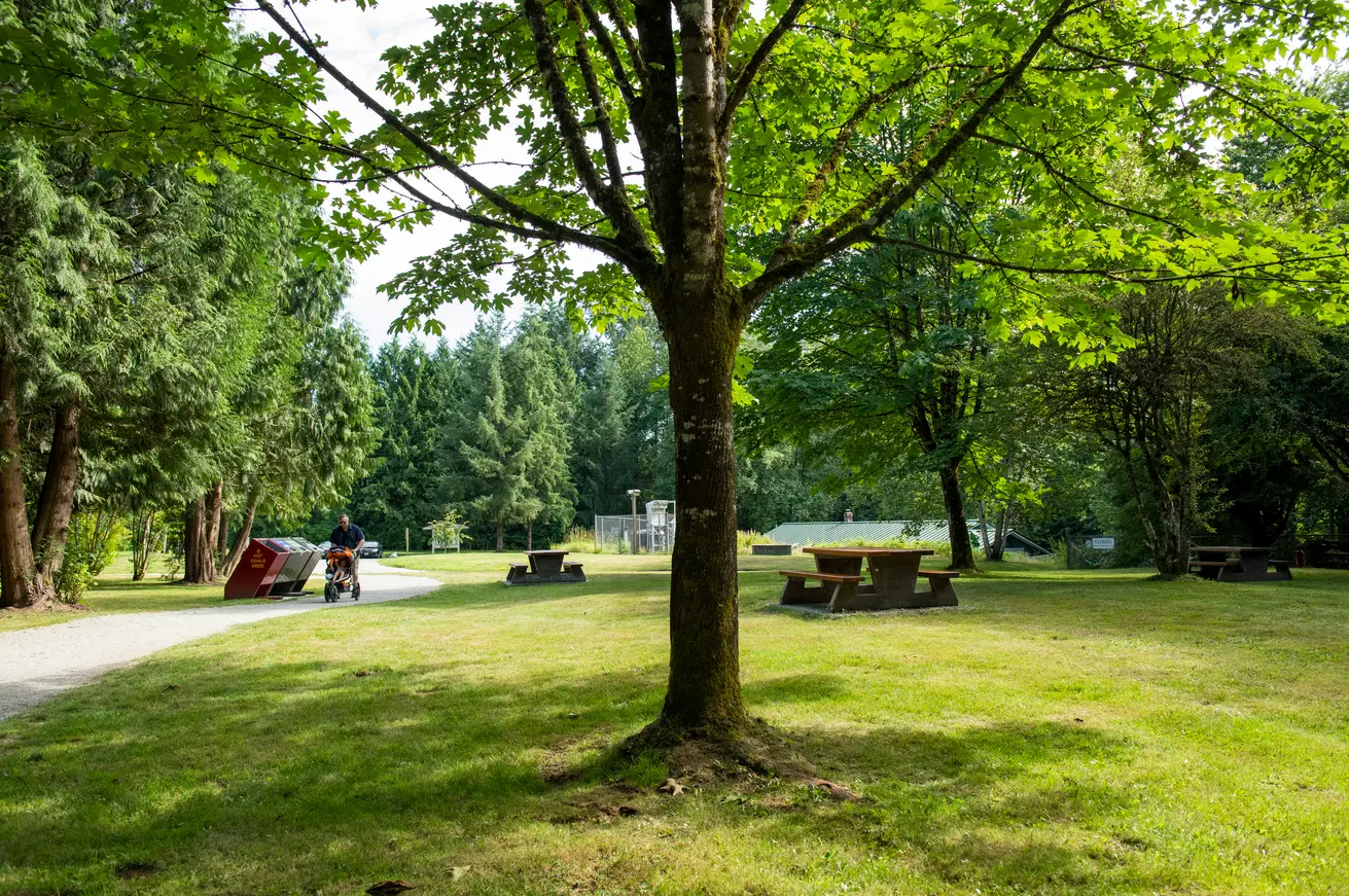 Picnic tables on a grassy lawn near the Hatchery in Tynehead Regional Park
