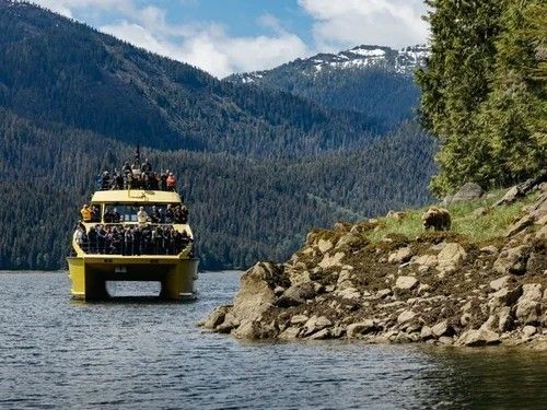 Yellow boat with many people on board approaching a rocky shore with a bear standing on the grass, surrounded by forested mountains.