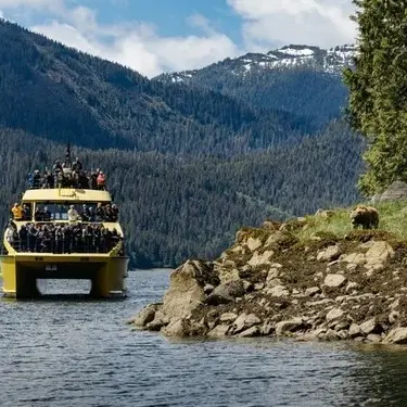 Yellow boat with many people on board approaching a rocky shore with a bear standing on the grass, surrounded by forested mountains.