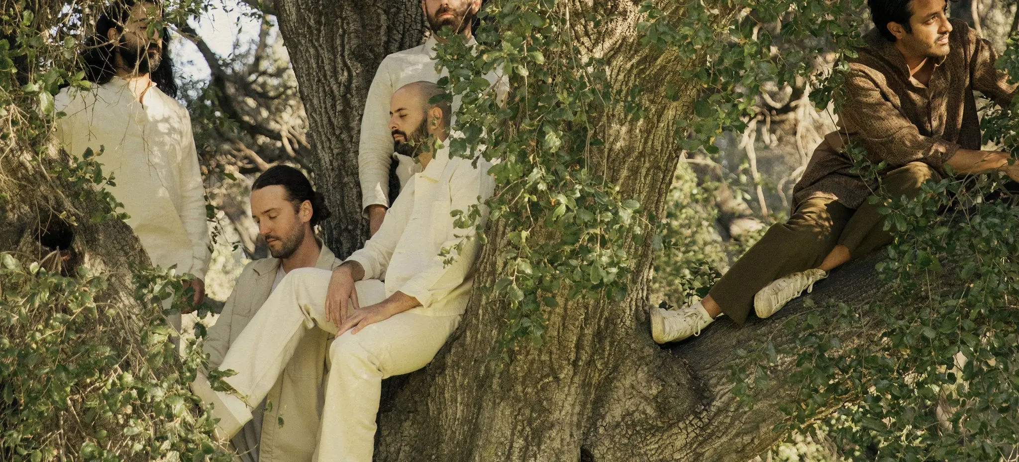 Five people sitting and leaning on a large tree with green leaves in a natural outdoor setting.