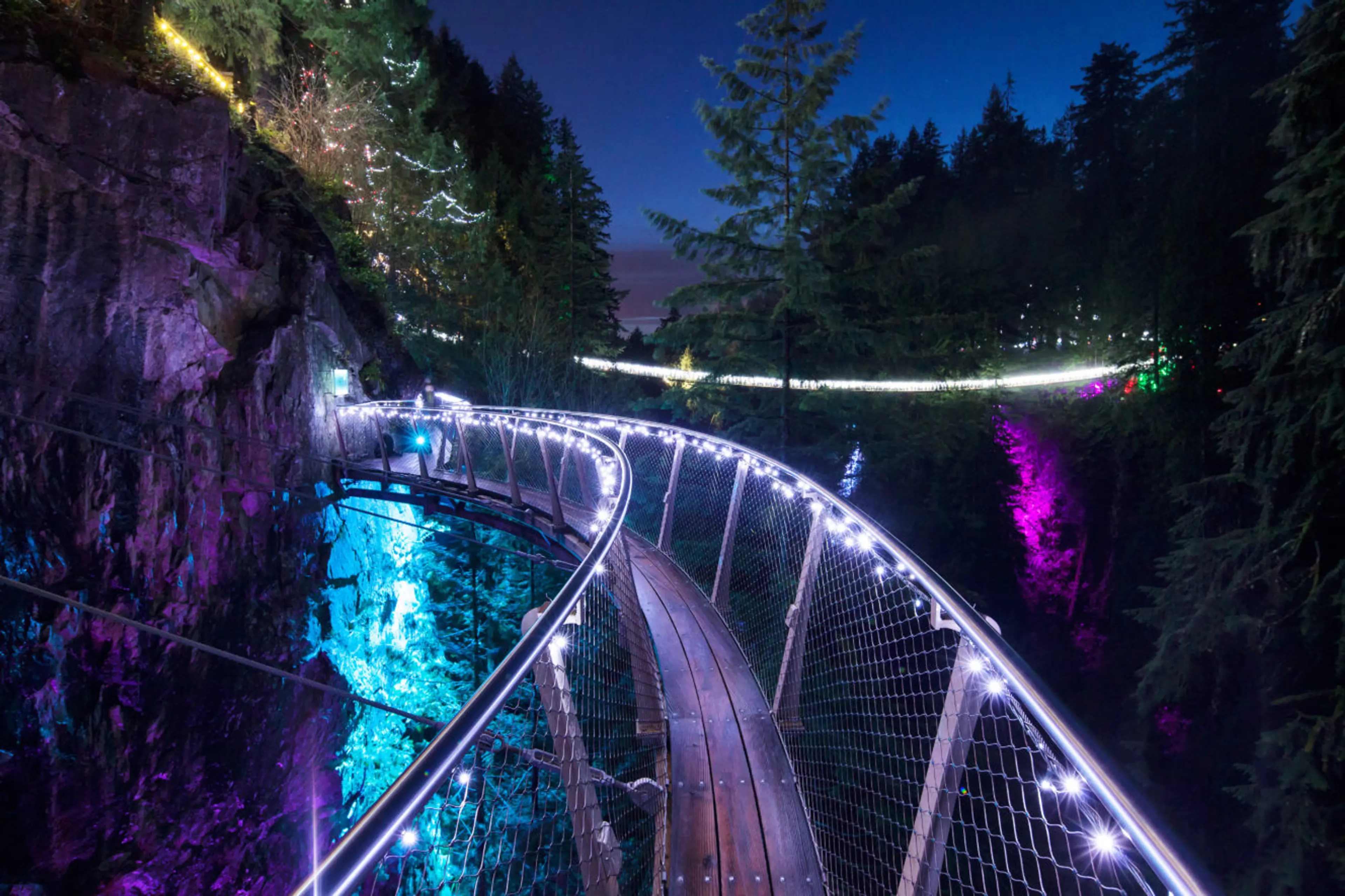 Capilano Canyon Lights in North Vancouver