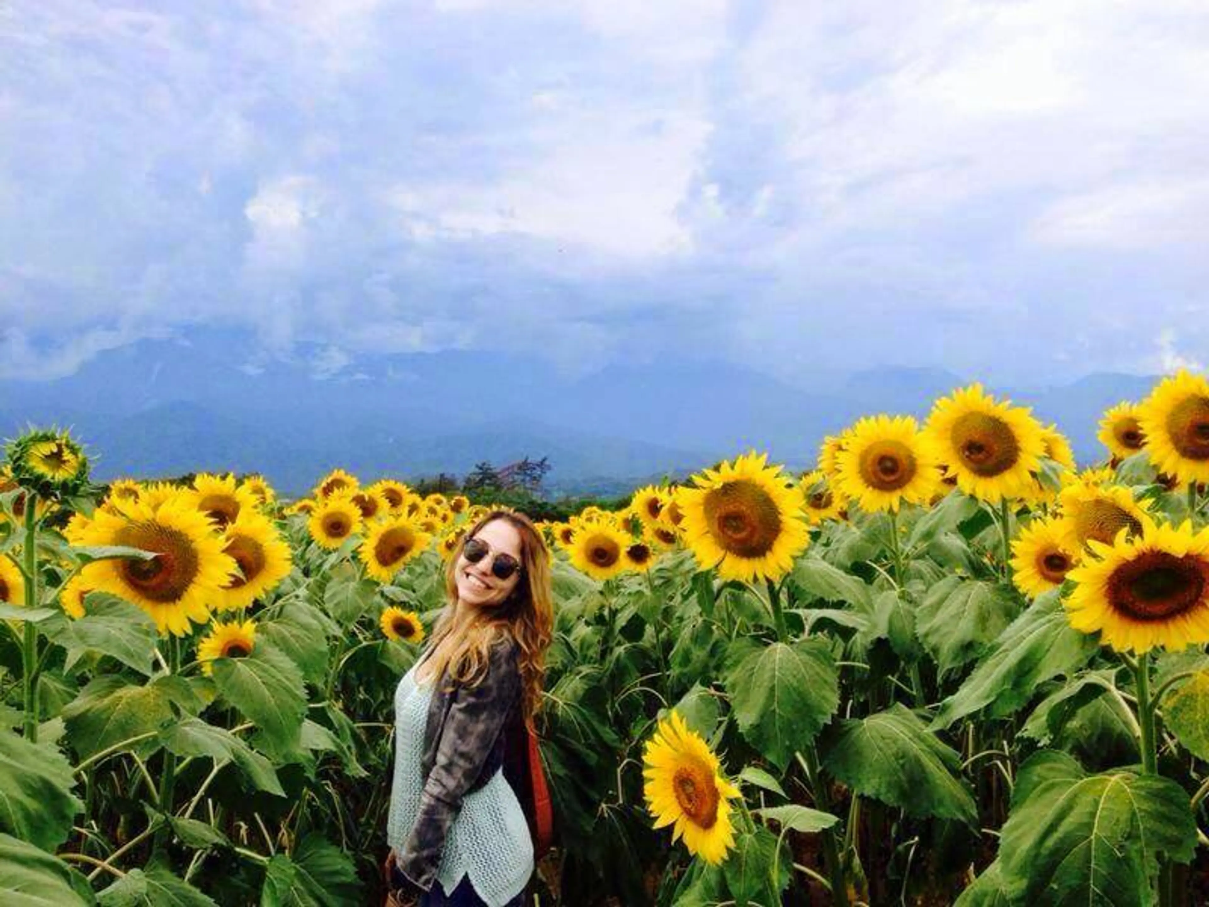 Chilliwack Sunflower Festival 2018