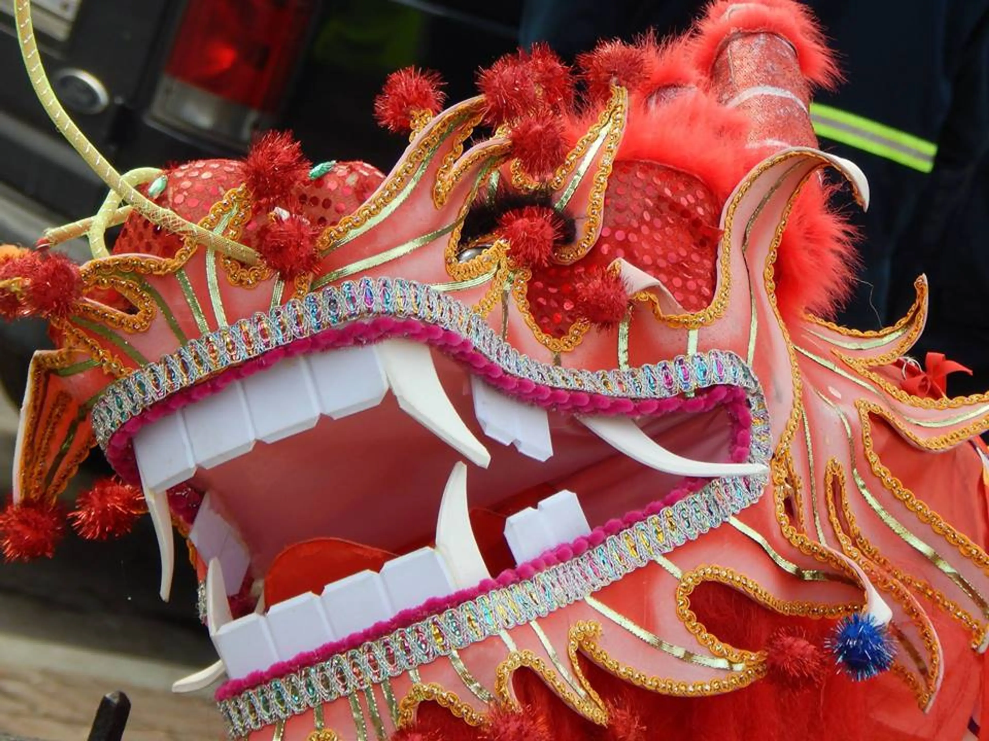 Chinese New Year at Hastings Race Course