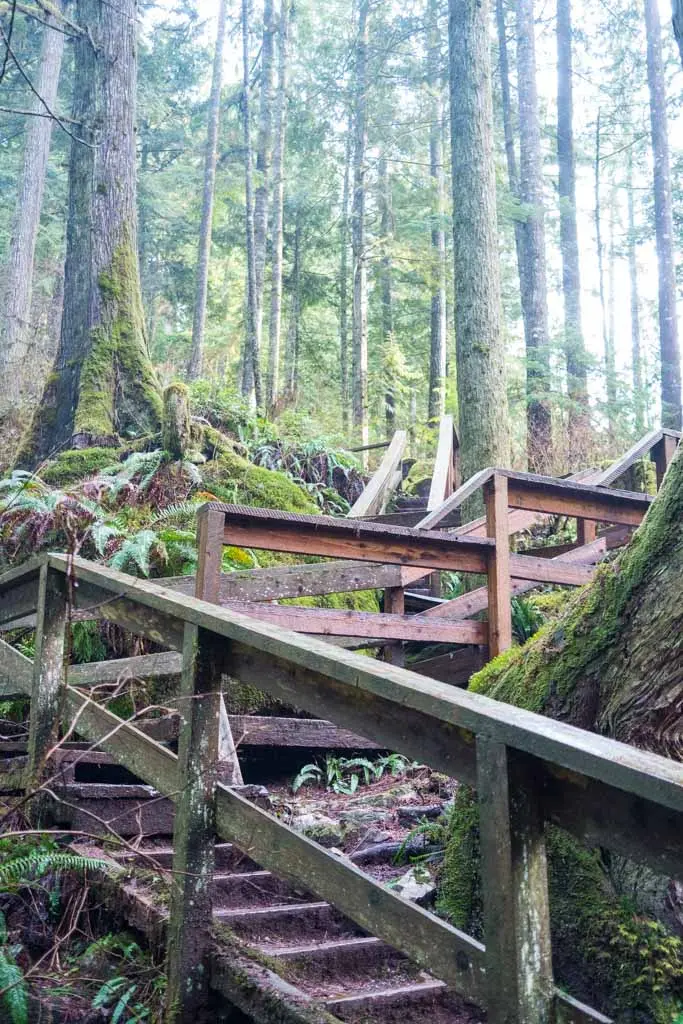 Stairs leading to Steelhead Falls near Mission, BC