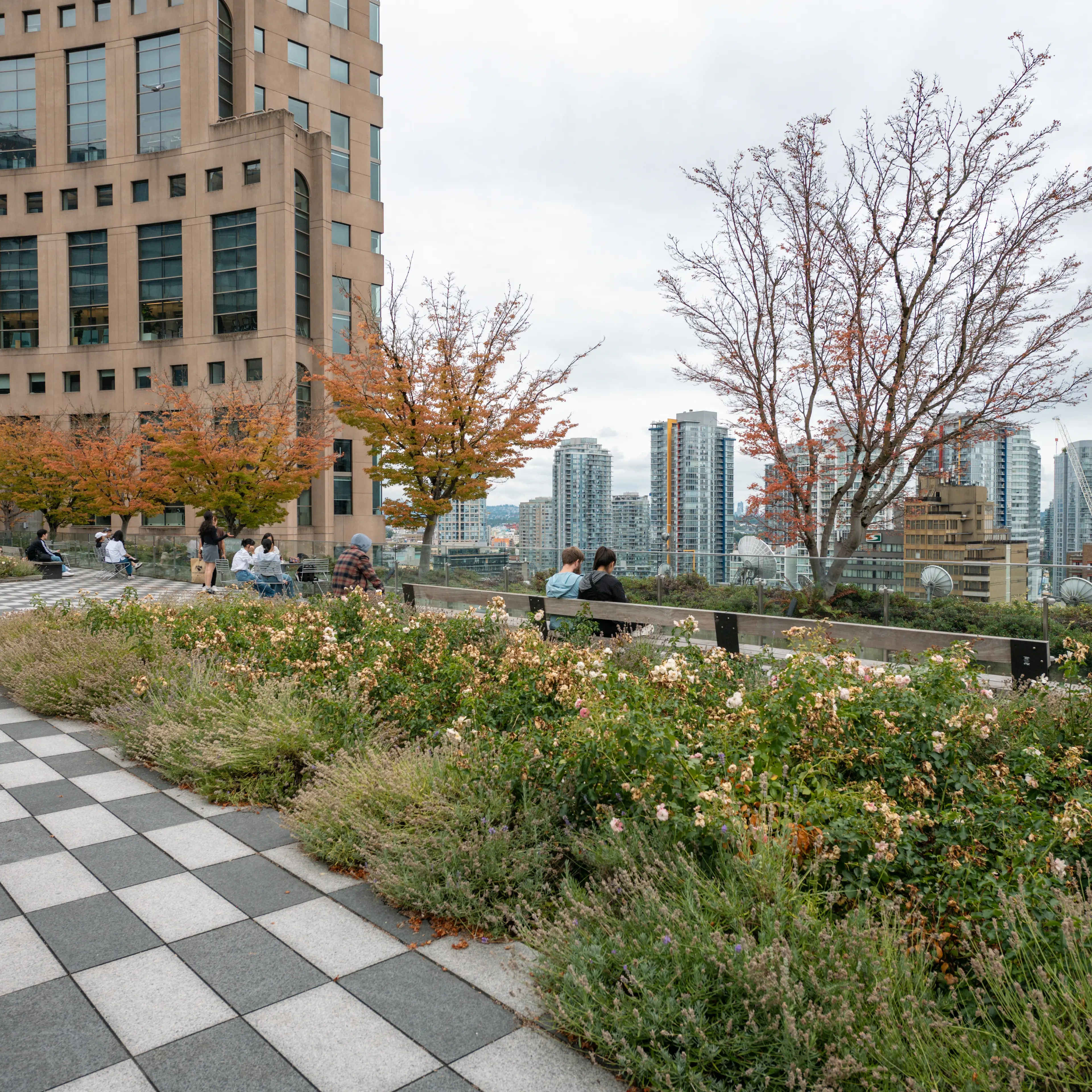 Phillips, Hager & North Garden @Central Library
