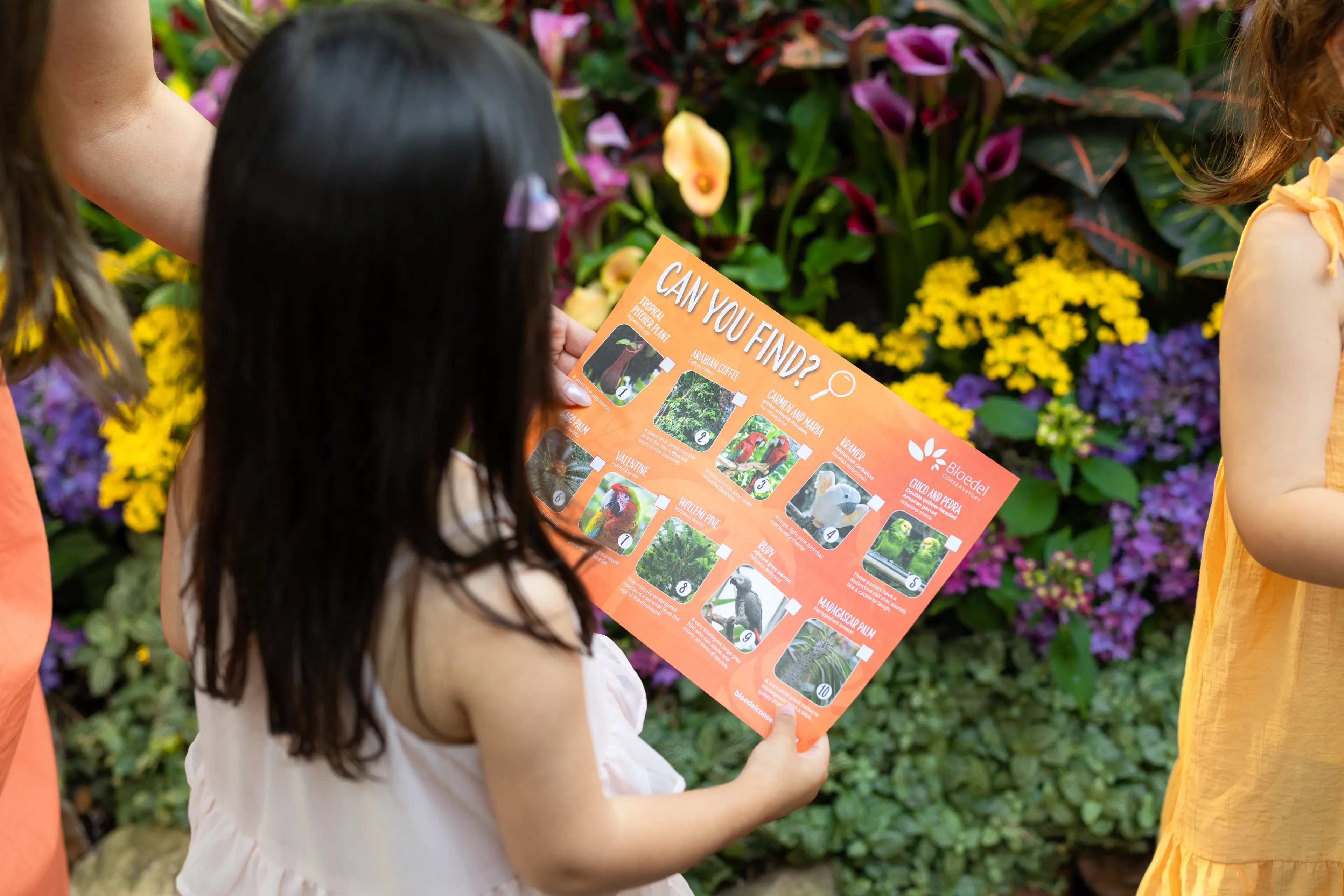 Bloedel Conservatory in Vancouver.