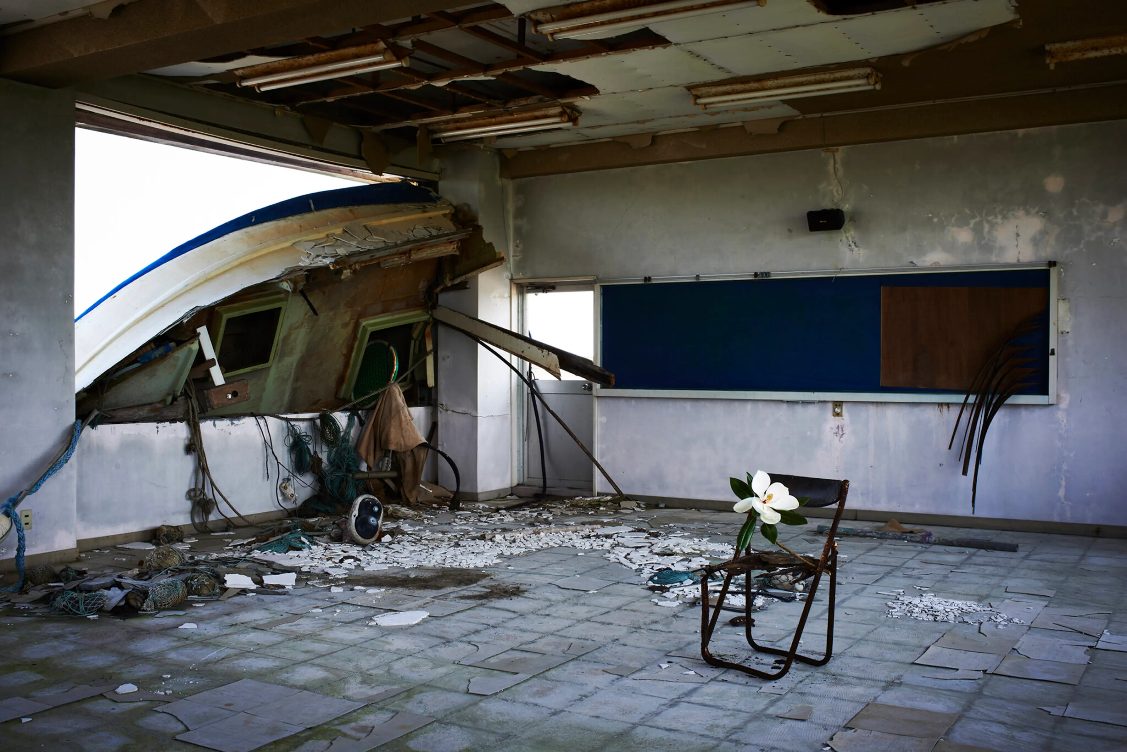 MOA Presents a Moving Exploration of Post-Disaster Recovery and Regeneration in A Future for Memory