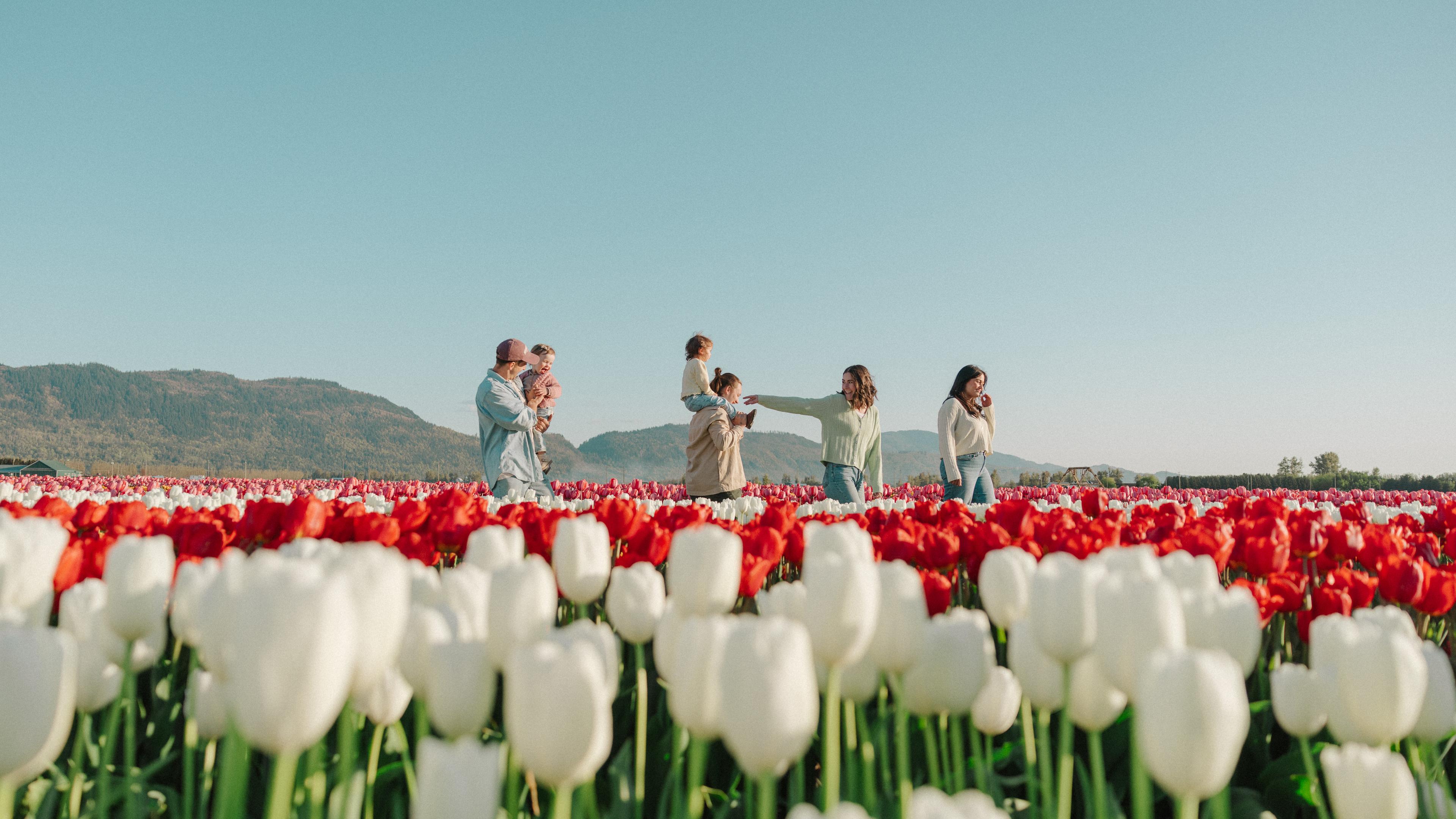 Spring Bloom Guide: Where to Take the Best Photos of Tulips and Other ...