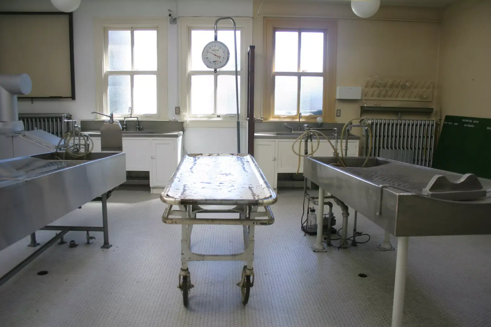 VPMA Autopsy Suite