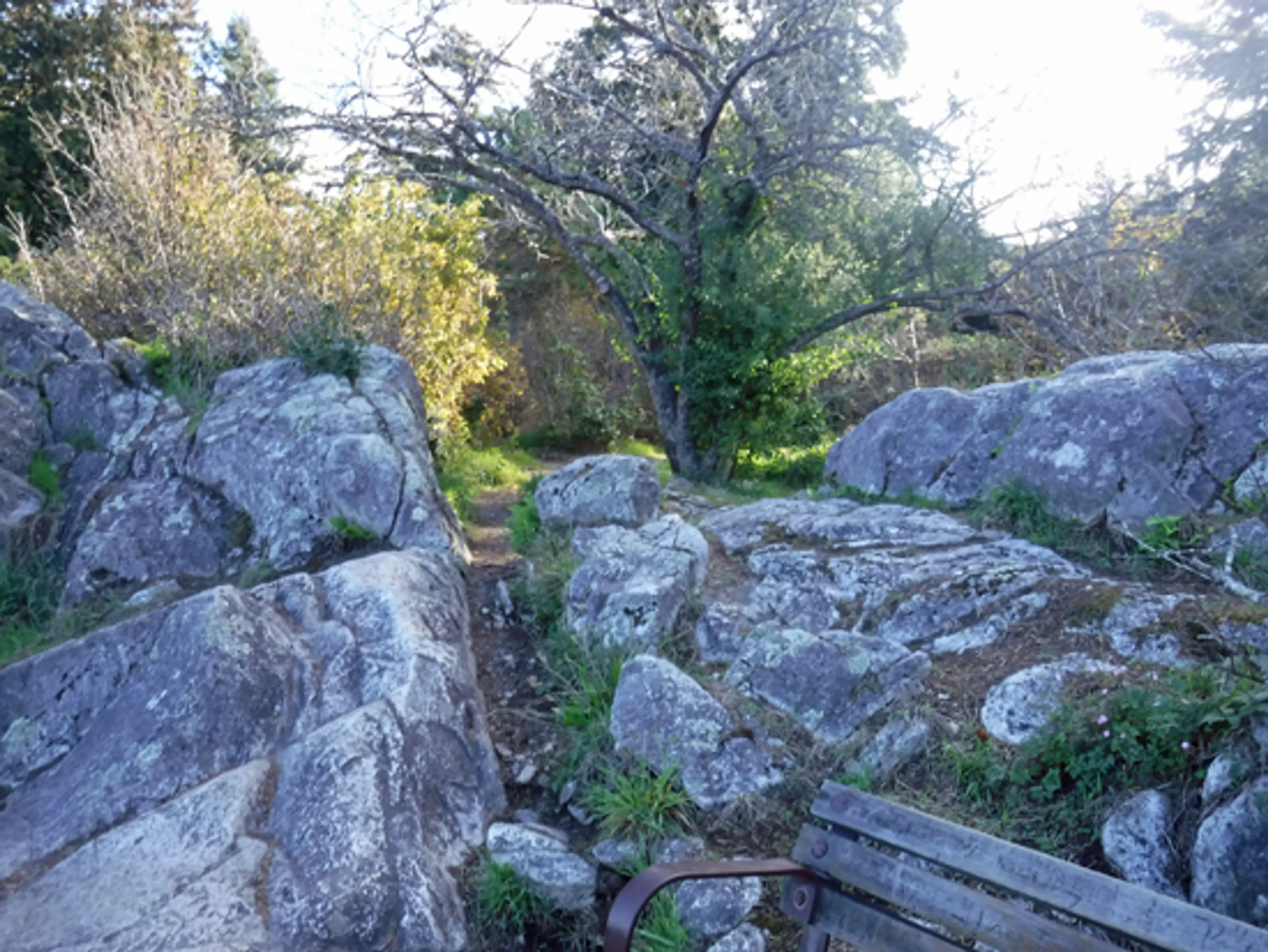 whytecliff-park-discover-the-outdoors6