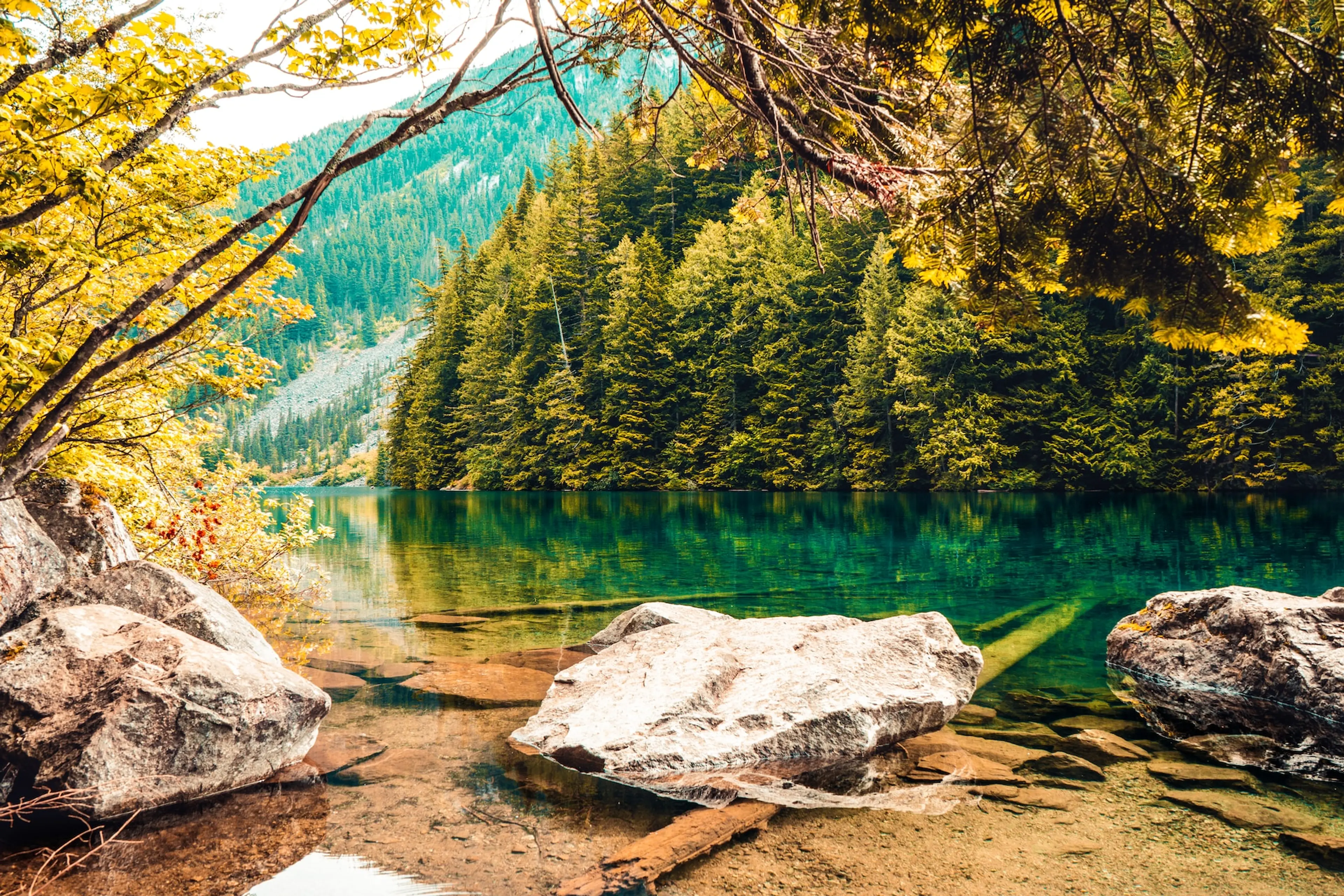 November 2023 Vancouver Hike of the Month: Lindeman Lake