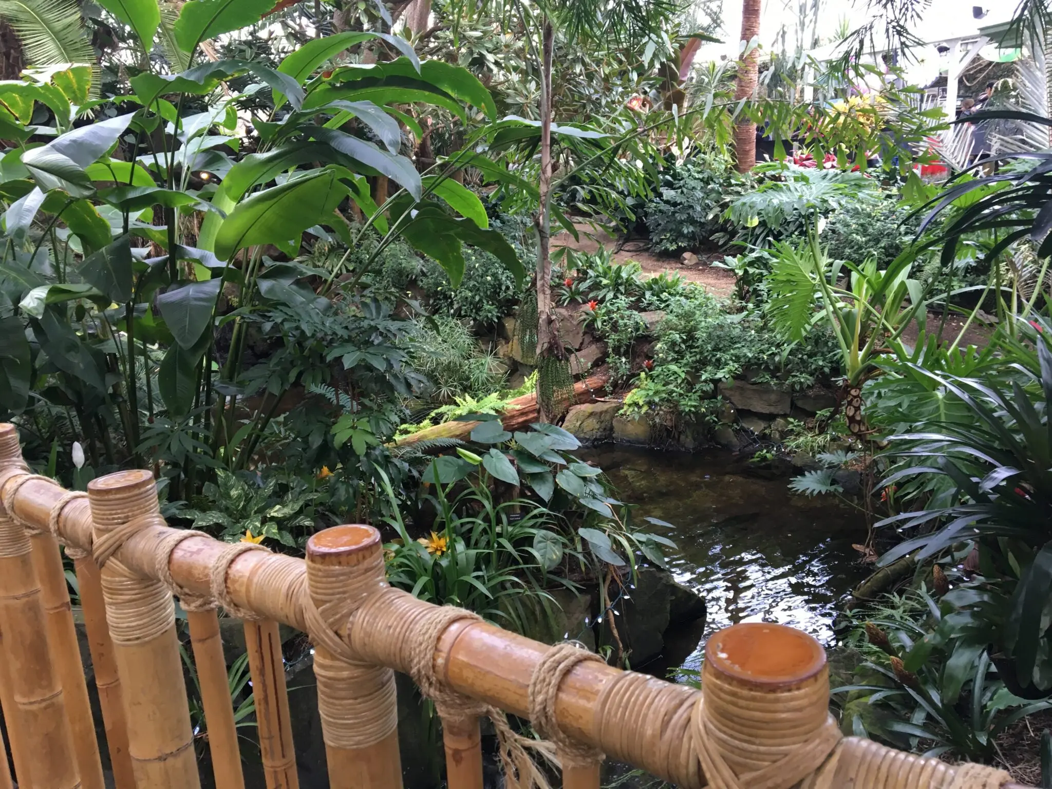 Tropical plants at the Bloedel Conservatory Vancouver