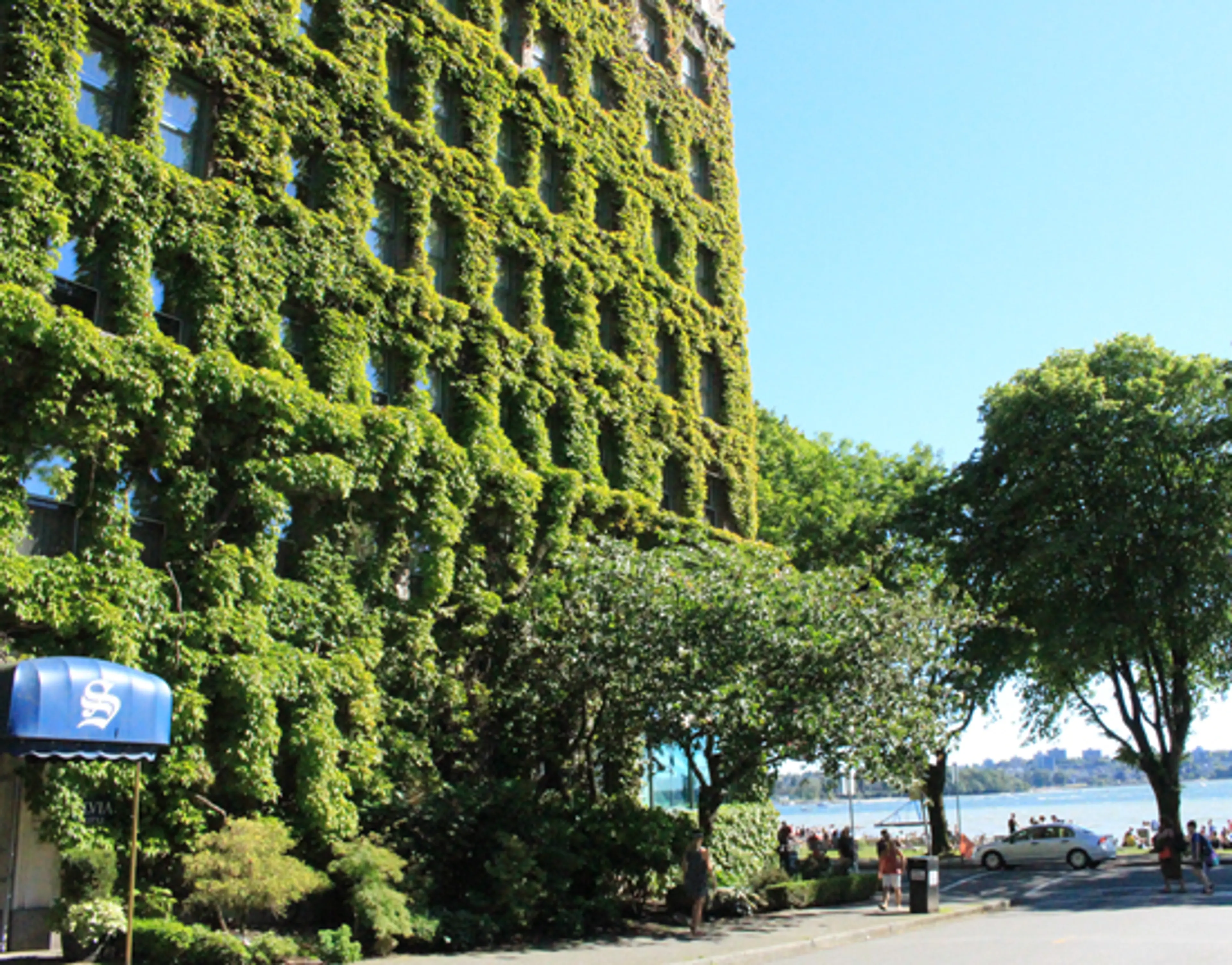 Living Walls – Vancouver’s Vertical Gardens