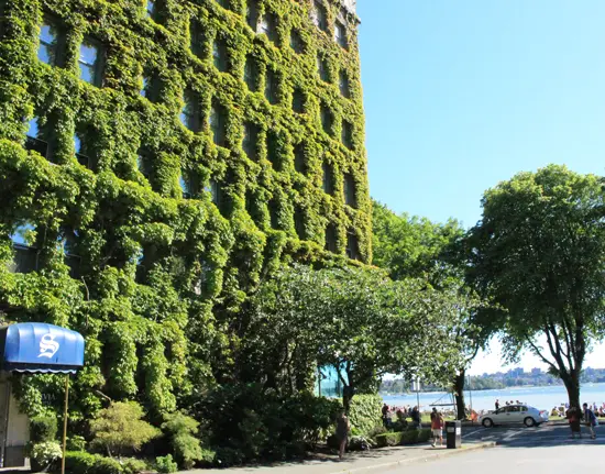 Living Walls – Vancouver’s Vertical Gardens