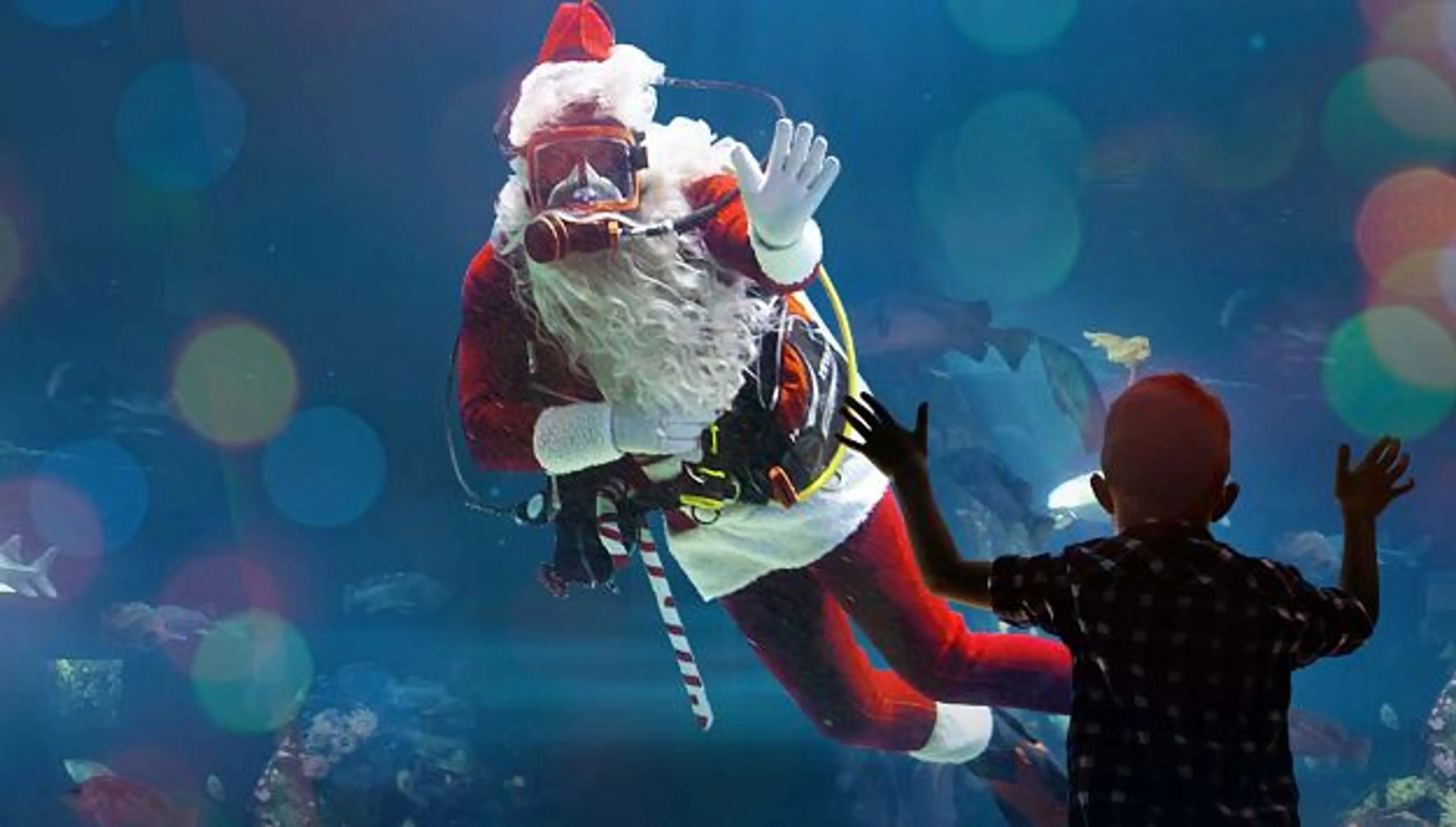 Scuba Santa at the Vancouver Aquarium.