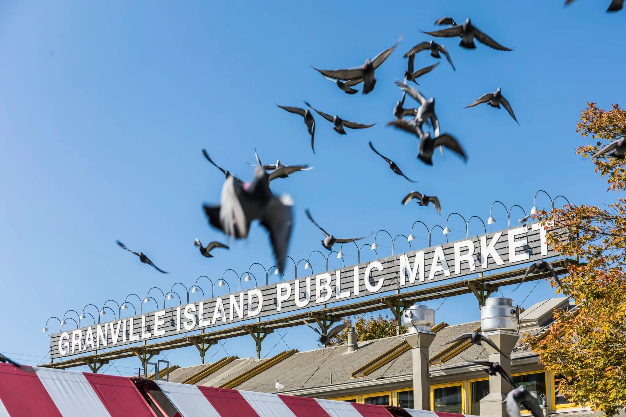 Vancouver’s Local Foodie Experts are Now Delivering Granville Island Public Market to You