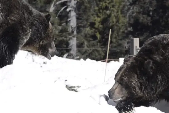 photo: fun vid click