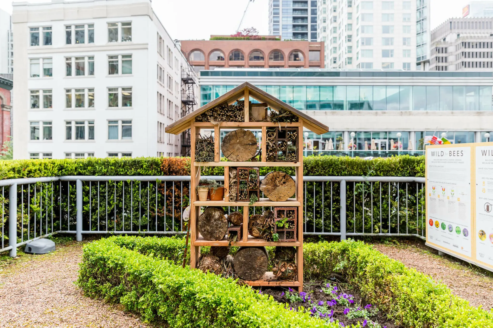 Roof top garden and bee hives at the Fairmont Waterfront in Vancouver