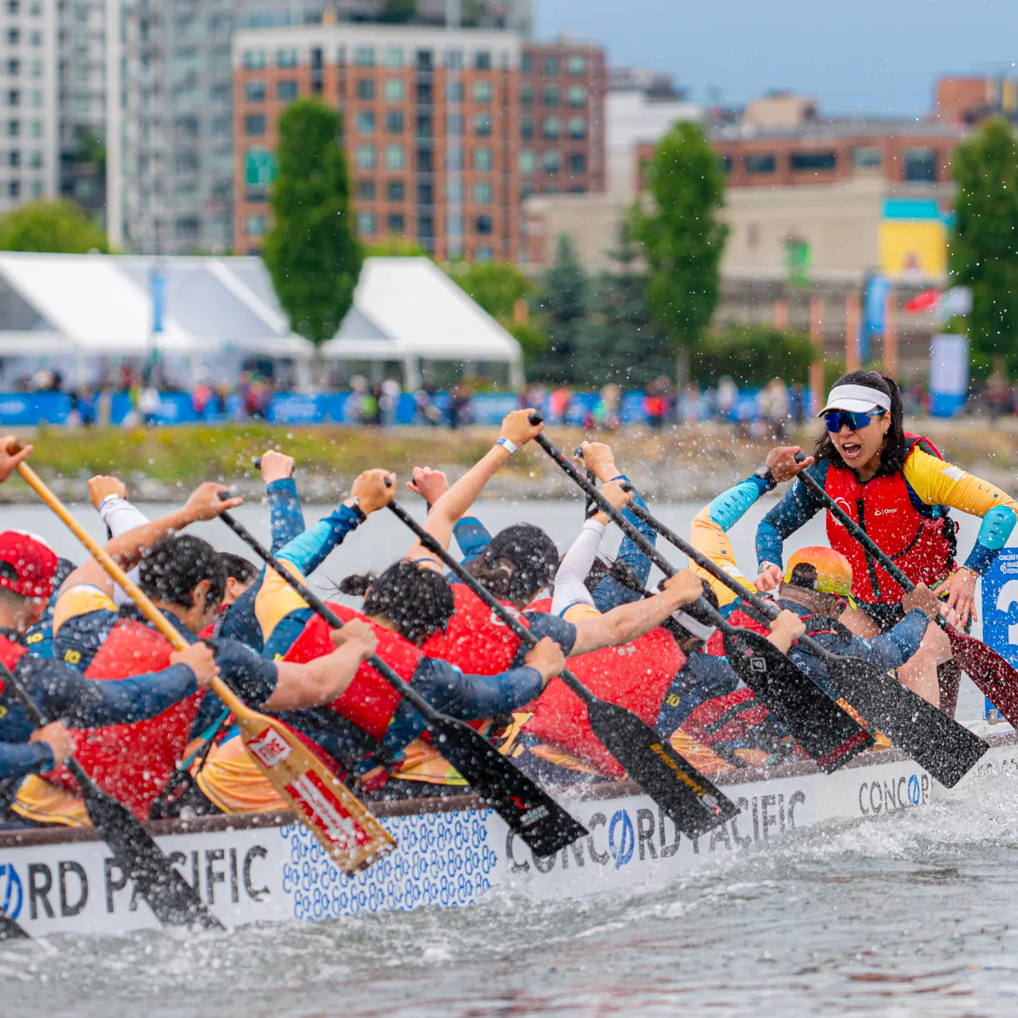 Concord Pacific Dragon Boat Festival - Dragon Boat Racing