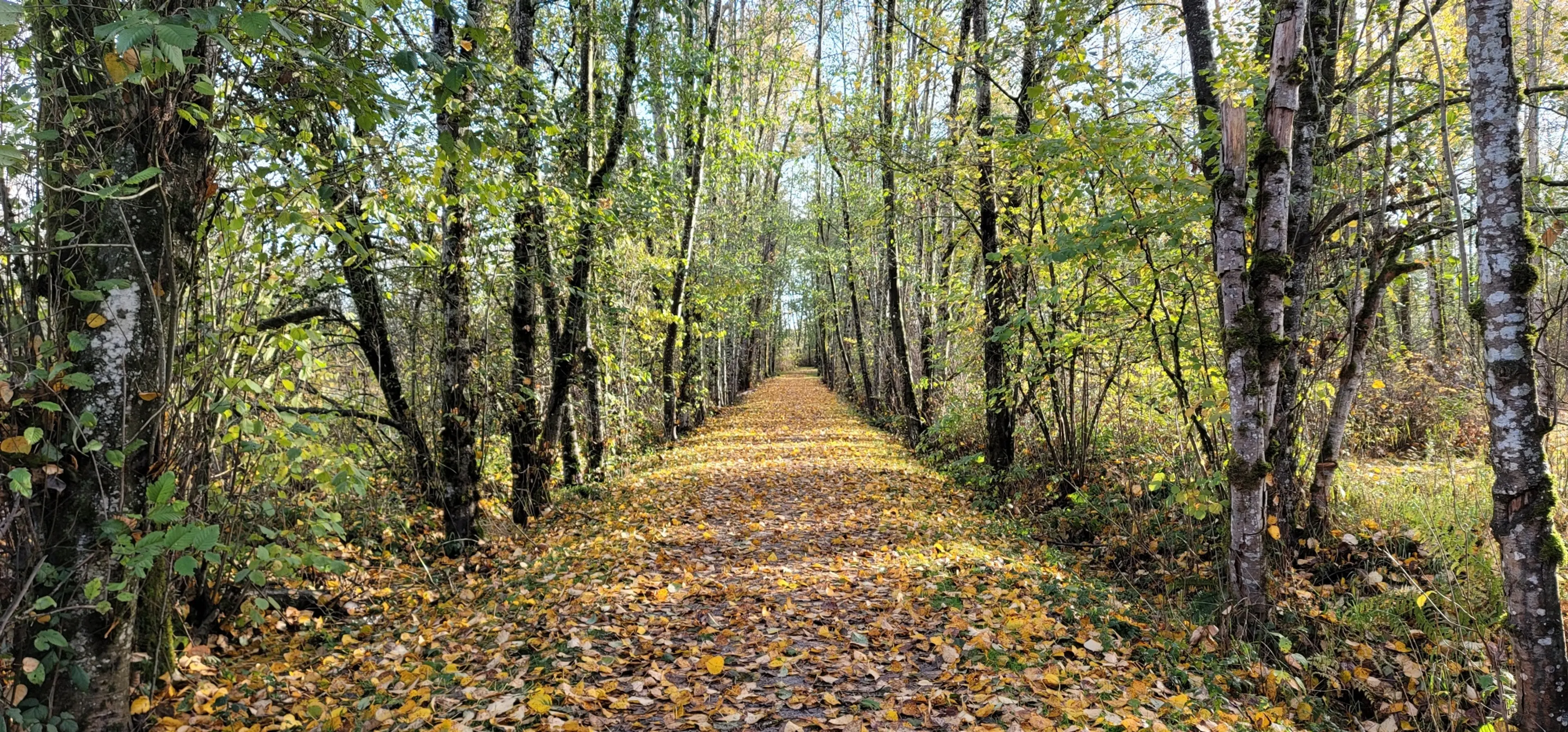 7 Things to Do at Campbell Valley Regional Park