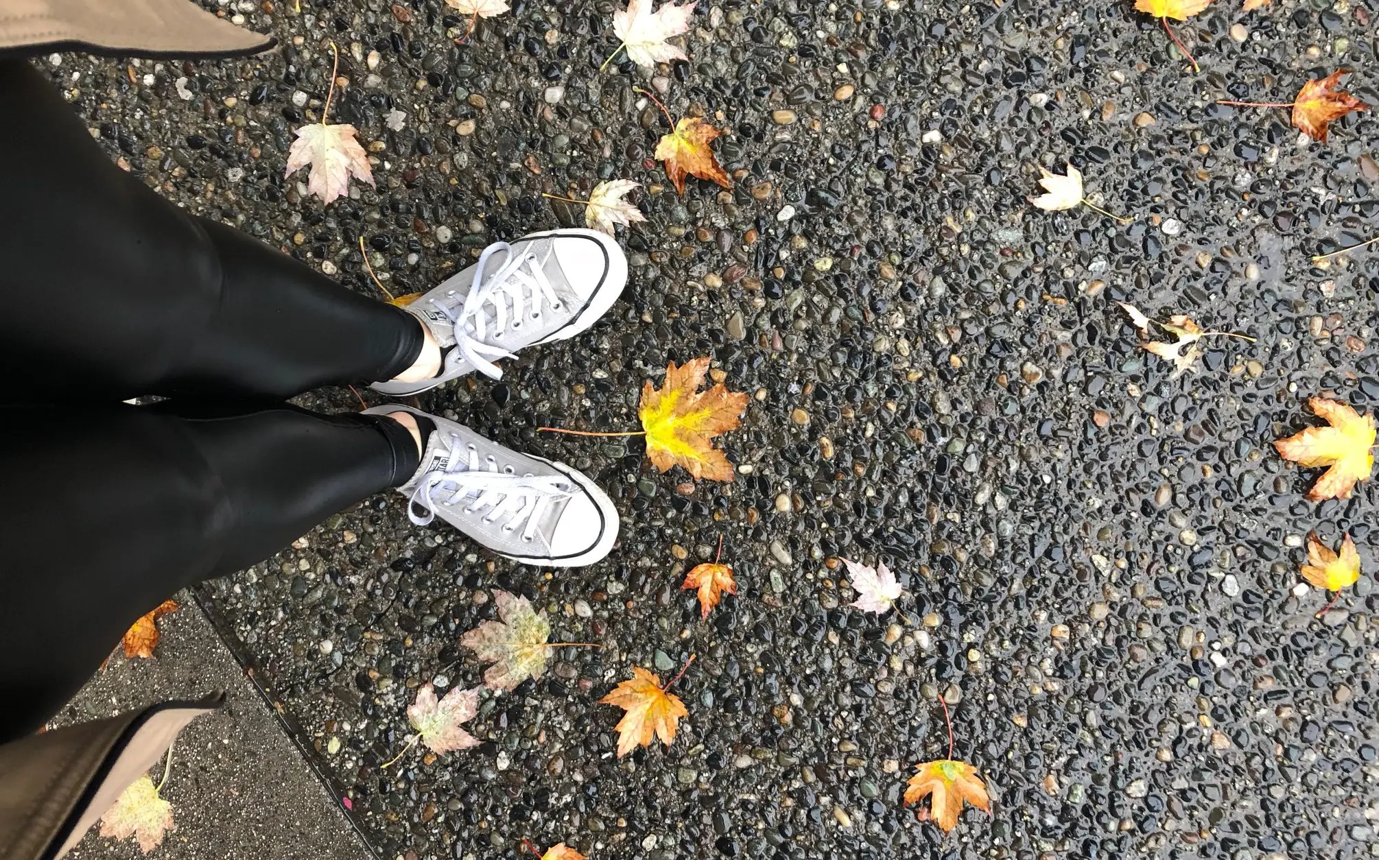 autumn Vancouver