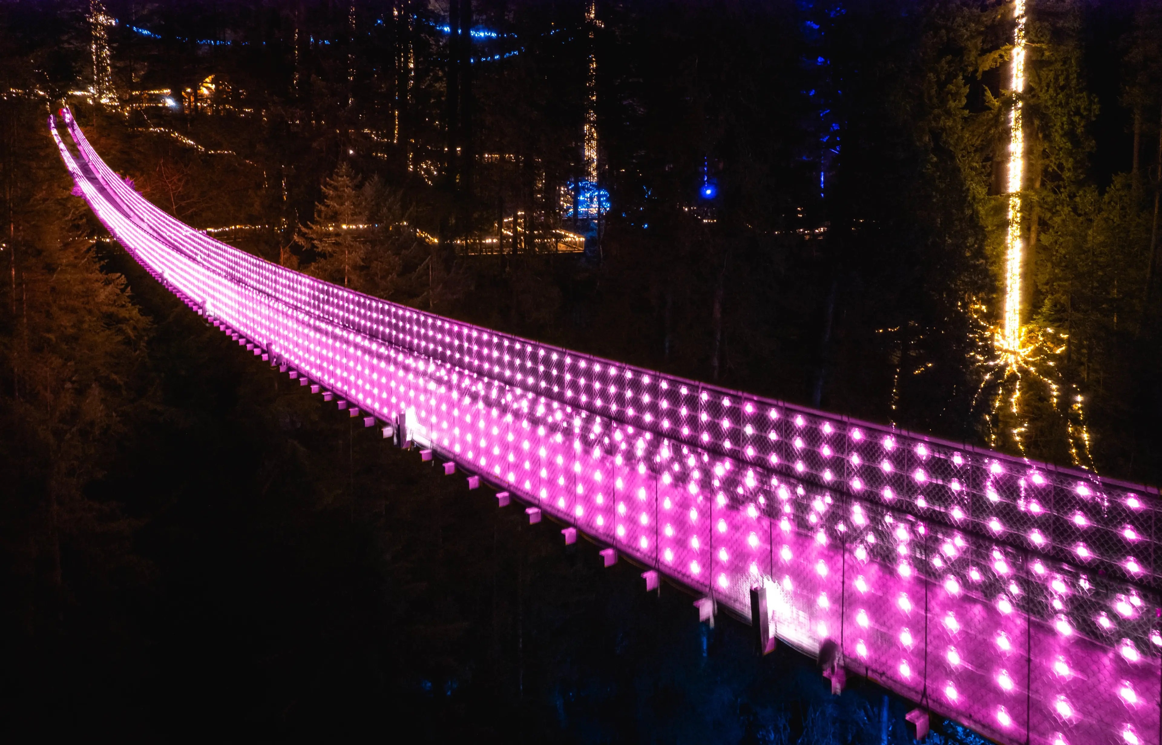 The Capilano Suspension Bridge decorated for the Valentine's-themed Love Lights event.