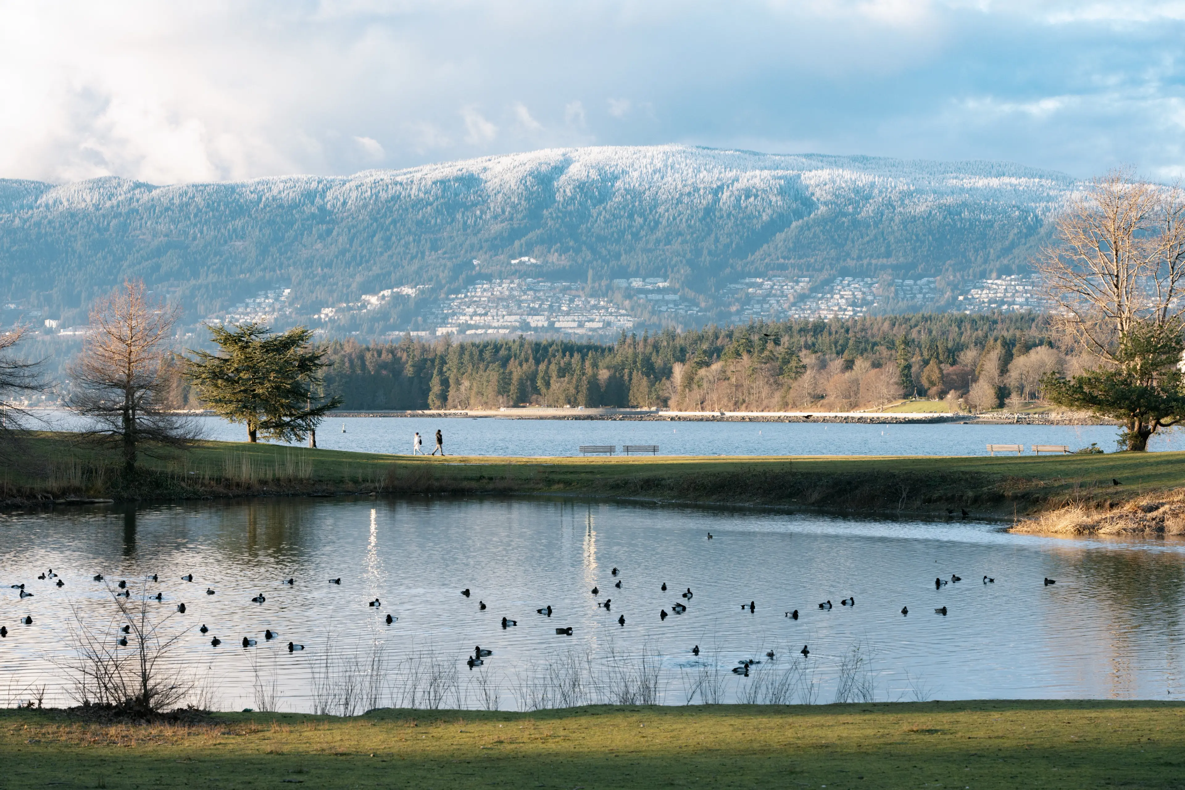 Scenic winter image at Vanier Park in Vancouver.
