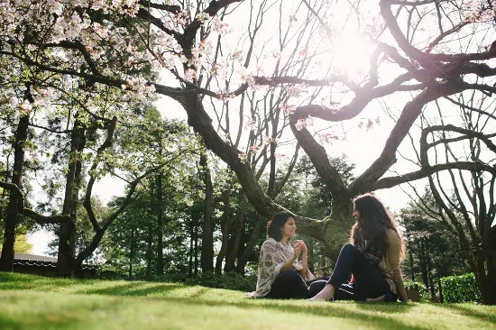 Add a Sense of Wellness to Your Vancouver Trip