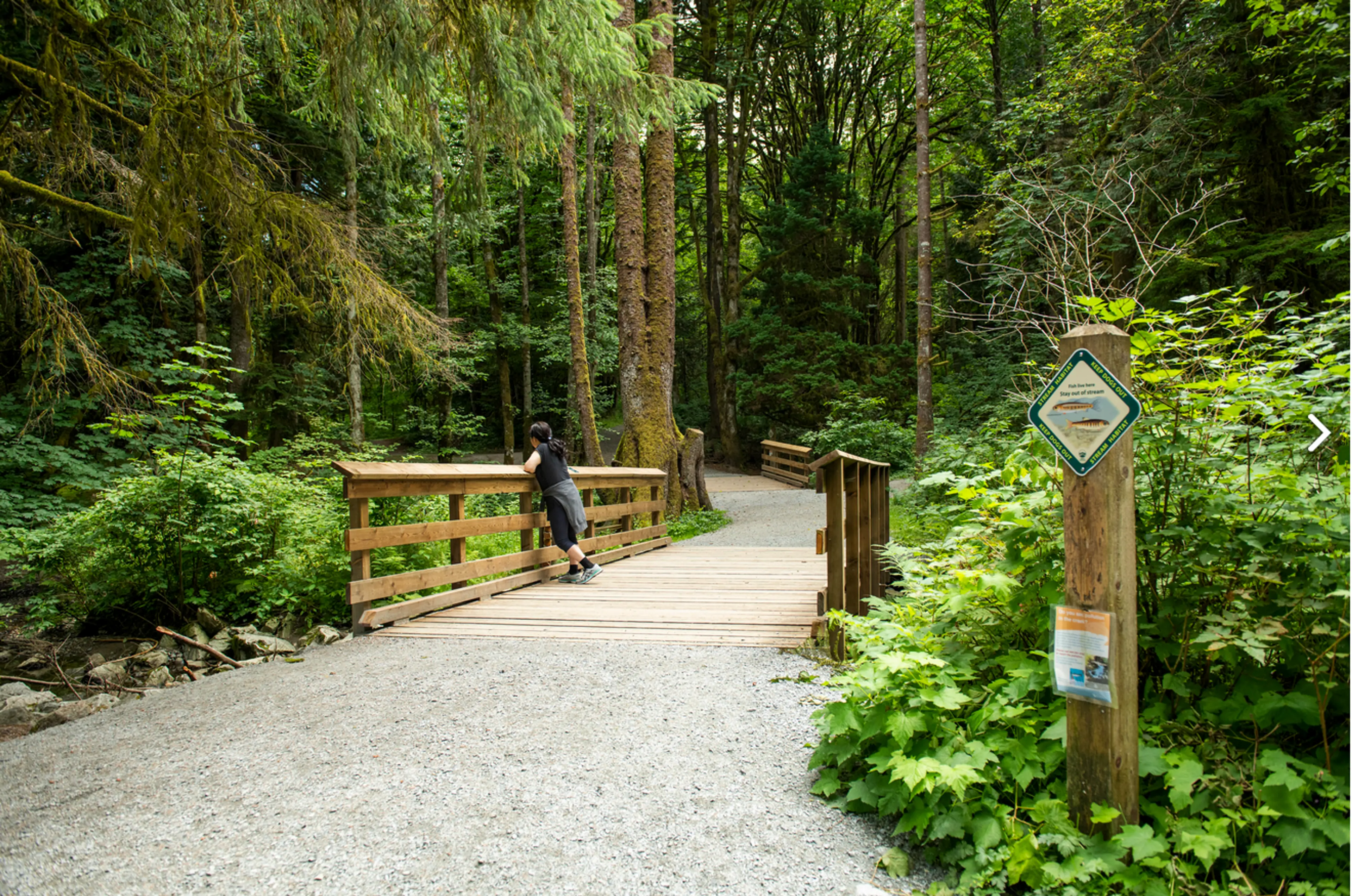 5 Things to Do at Tynehead Regional Park