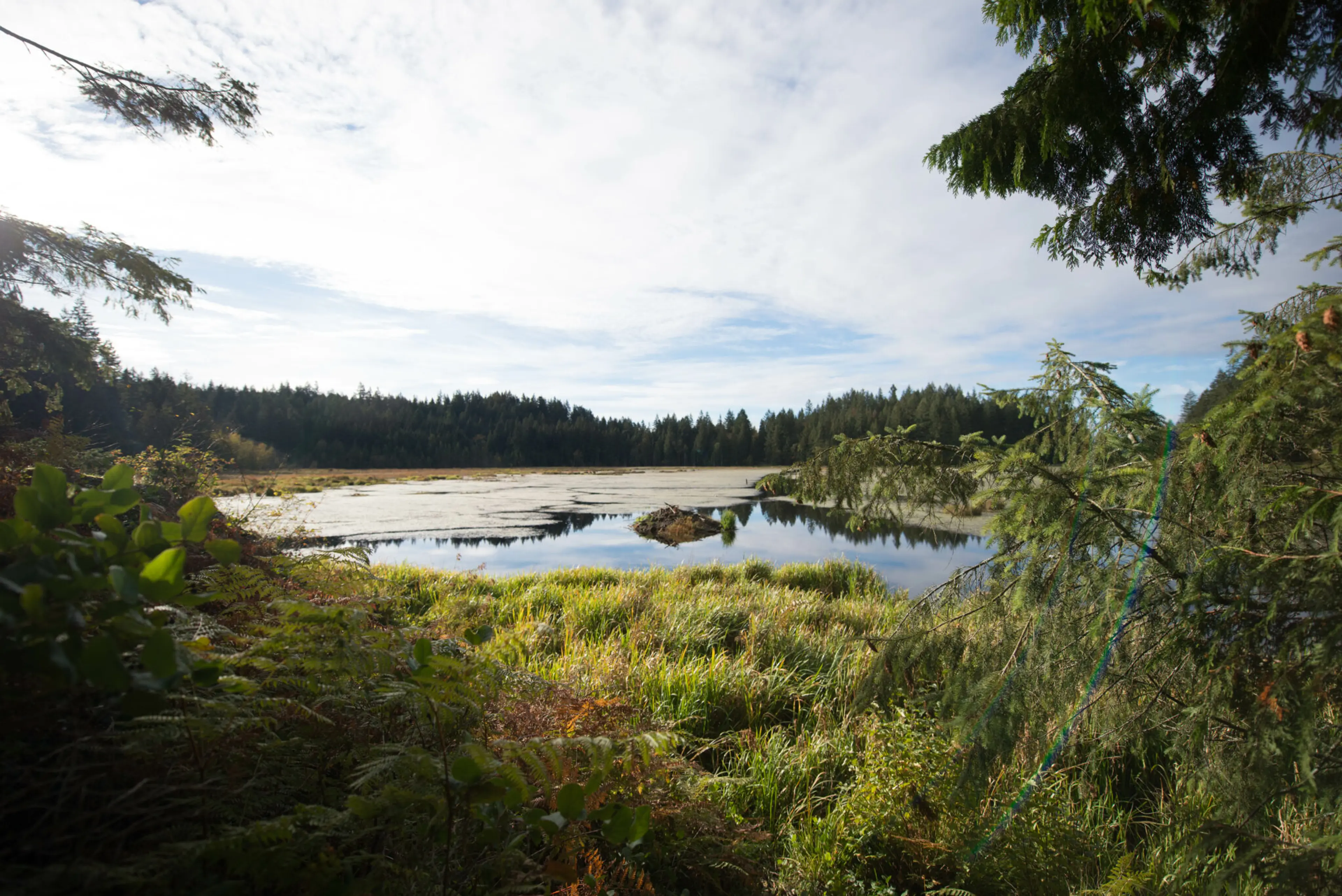 Minnekhada Regional Park in Coquitlam