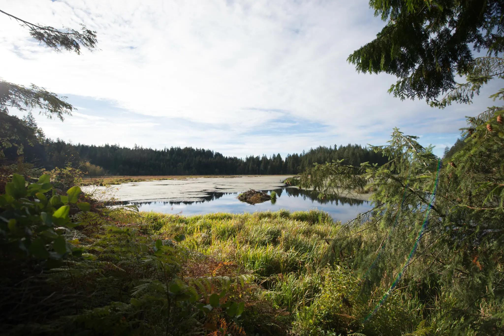 Minnekhada Regional Park in Coquitlam