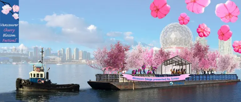 2016 vancouver cherry blossom festival