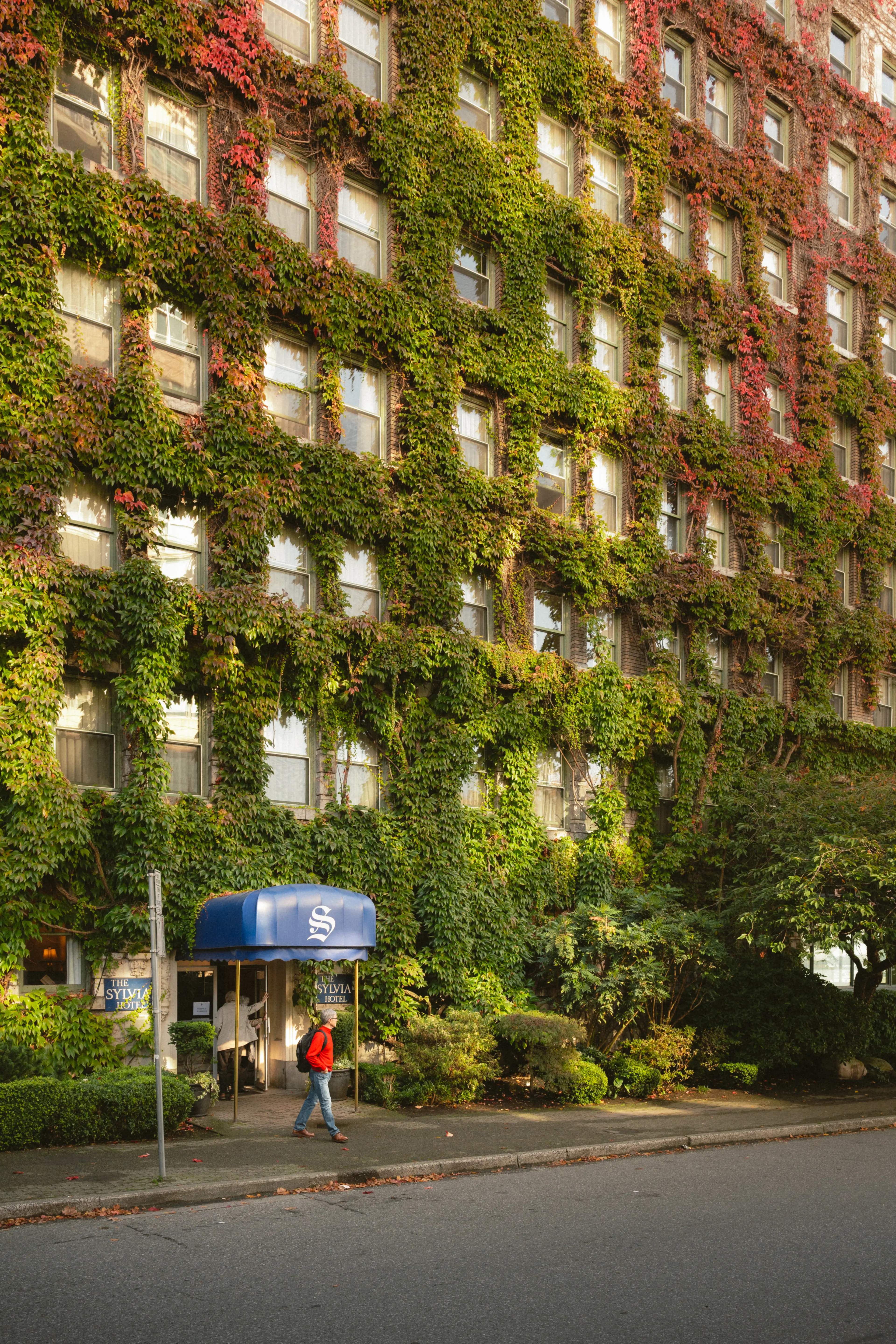 Sylvia Hotel exeterior with ivy