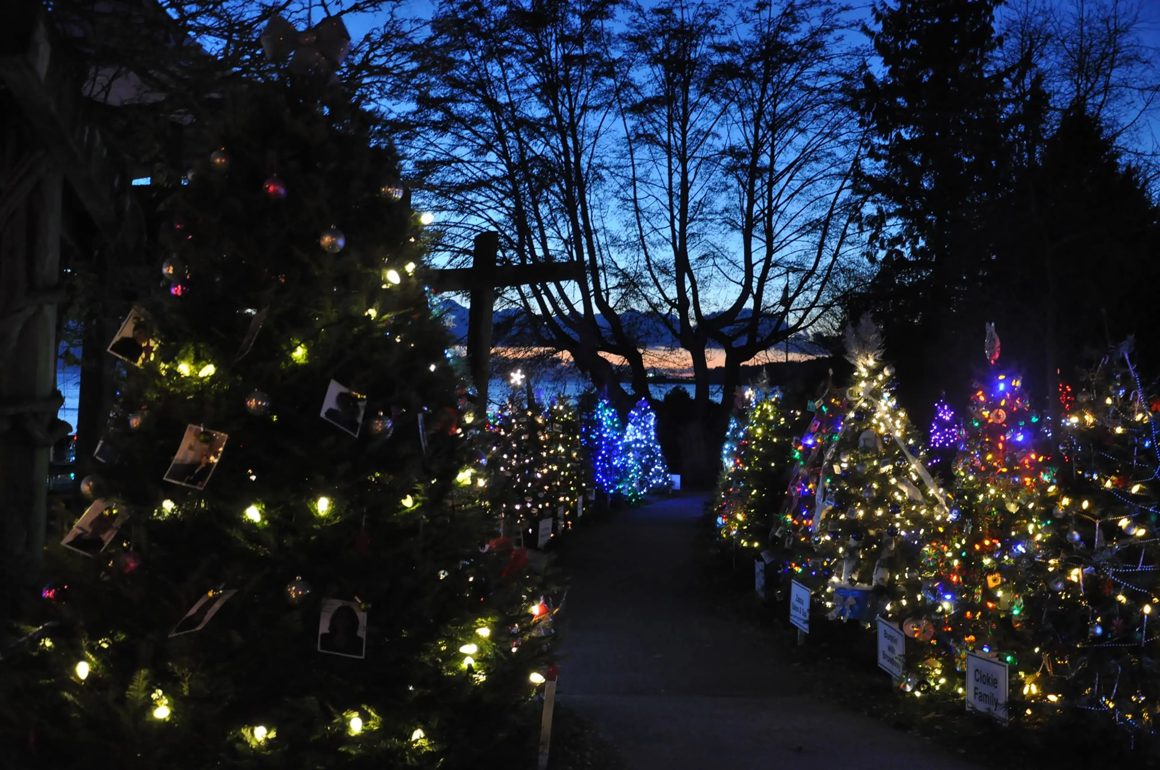 Dundarave Festival of Lights and the Forest of Miracles in West Vancouver