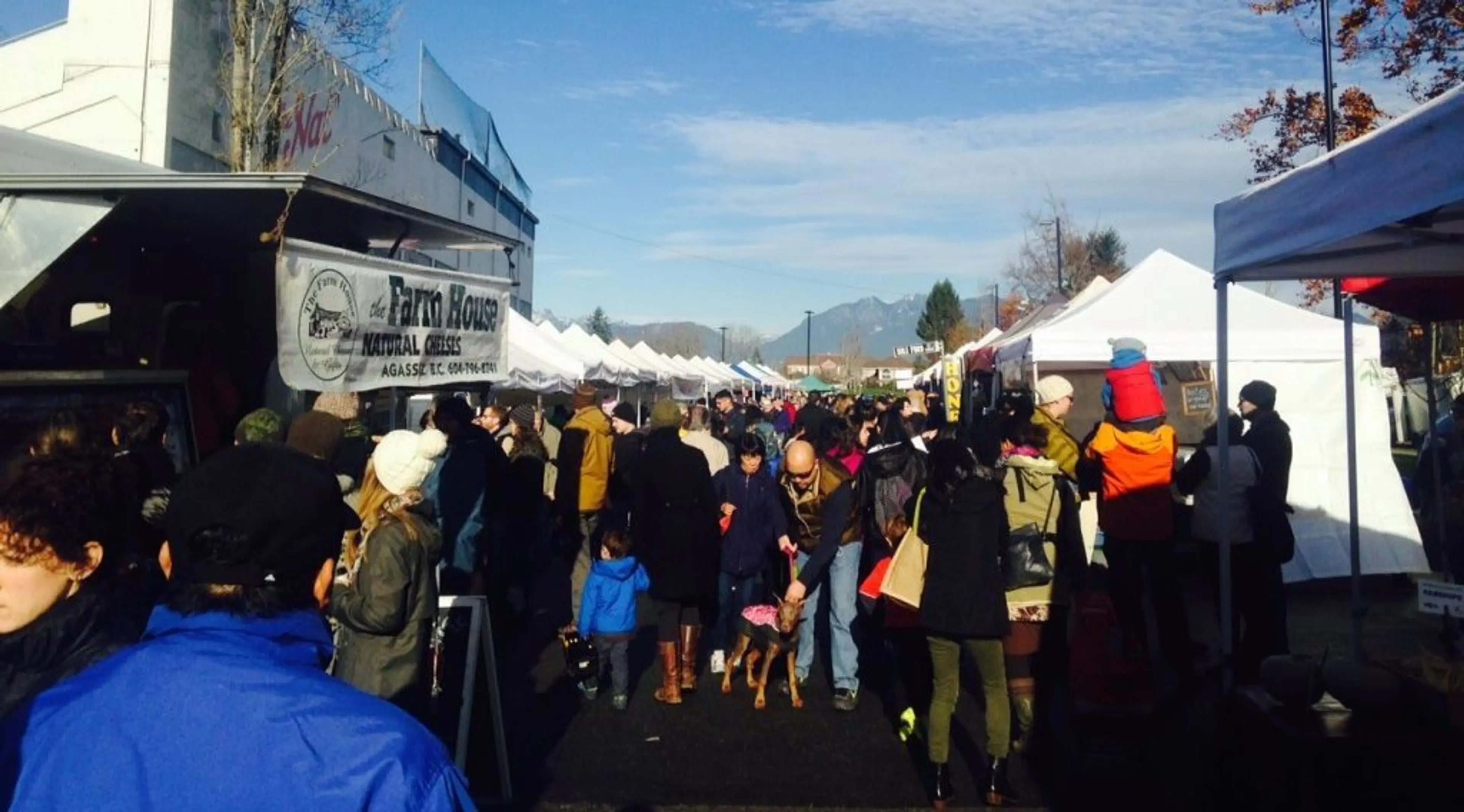 Nat Bailey Stadium Winter Farmers Market