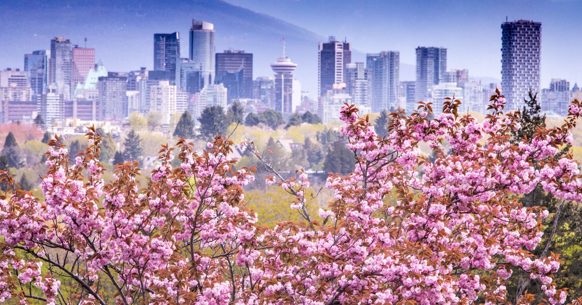 2021 Vancouver Cherry Blossom Festival Events You Shouldn’t Miss ...