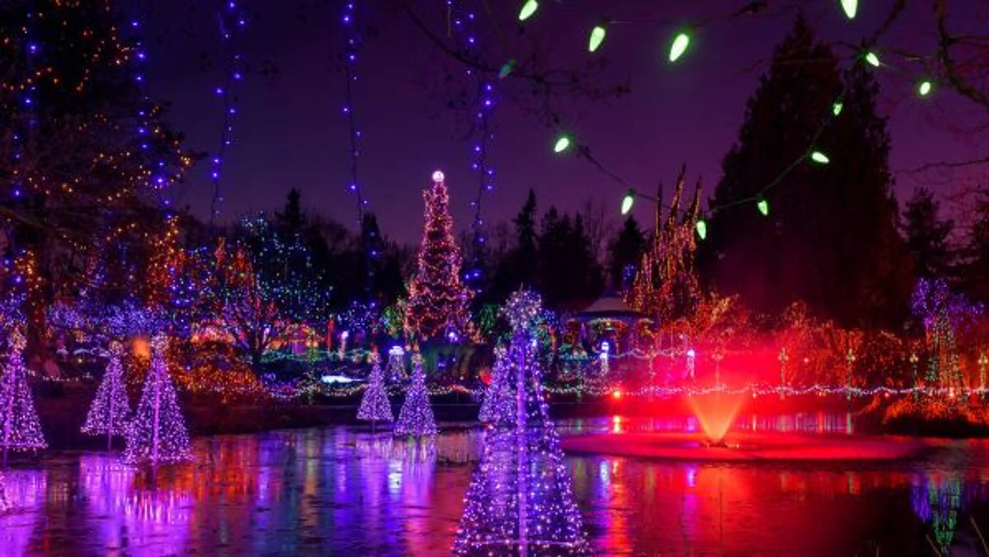 Vancouver: A Winter Wonderland