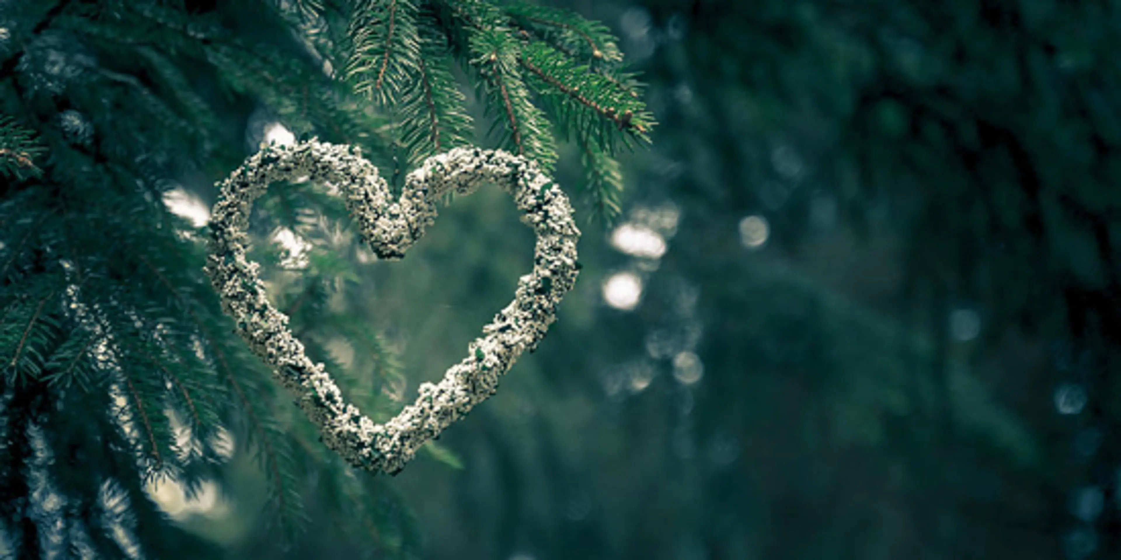 Celebrate Valentine’s Day among the Trees: Sea to Sky Gondola’s Lovers’ Lane Stroll & Supper