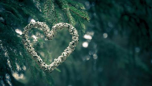 Celebrate Valentine’s Day among the Trees: Sea to Sky Gondola’s Lovers’ Lane Stroll & Supper