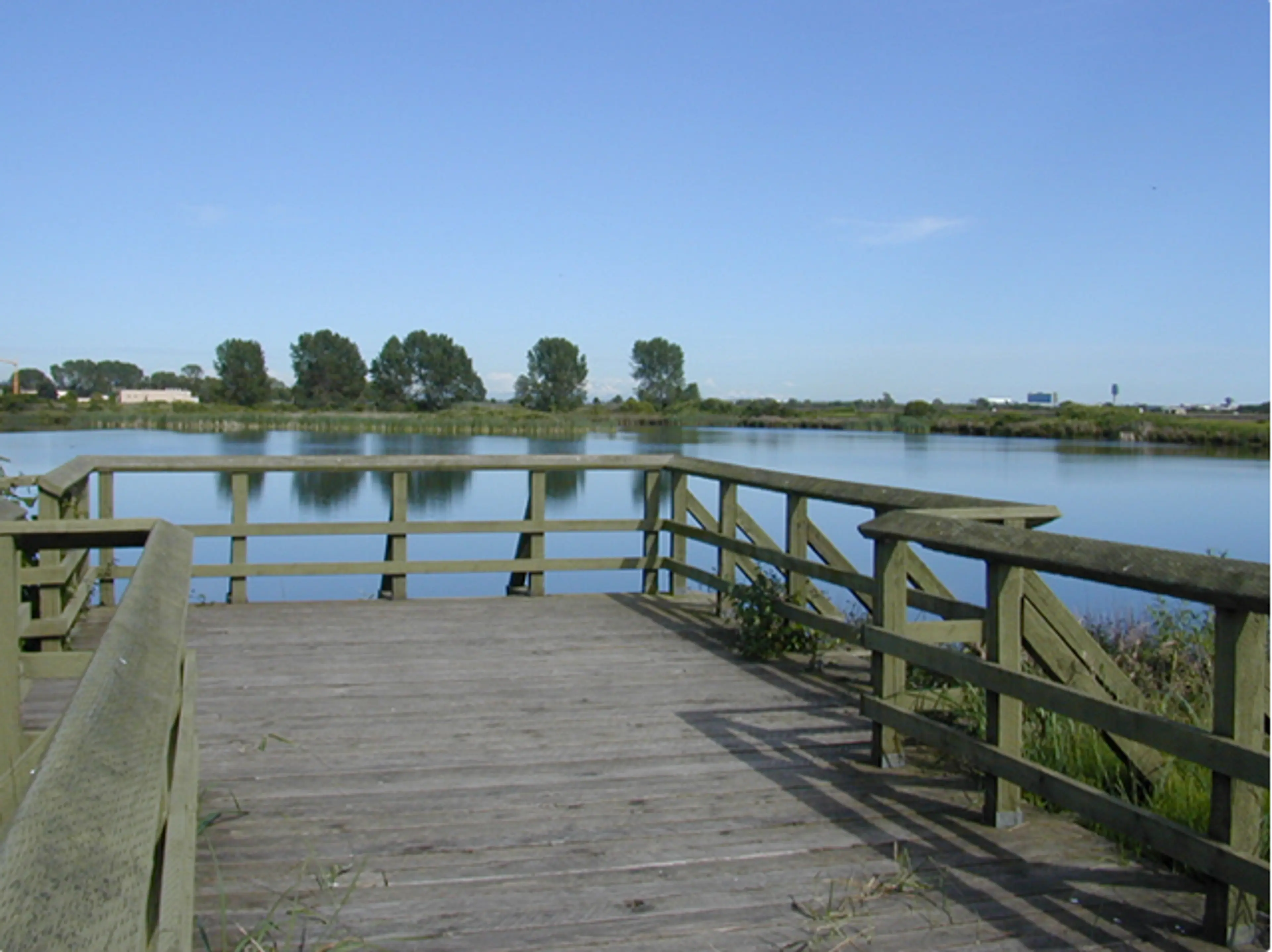 South pond at Iona Beach Park