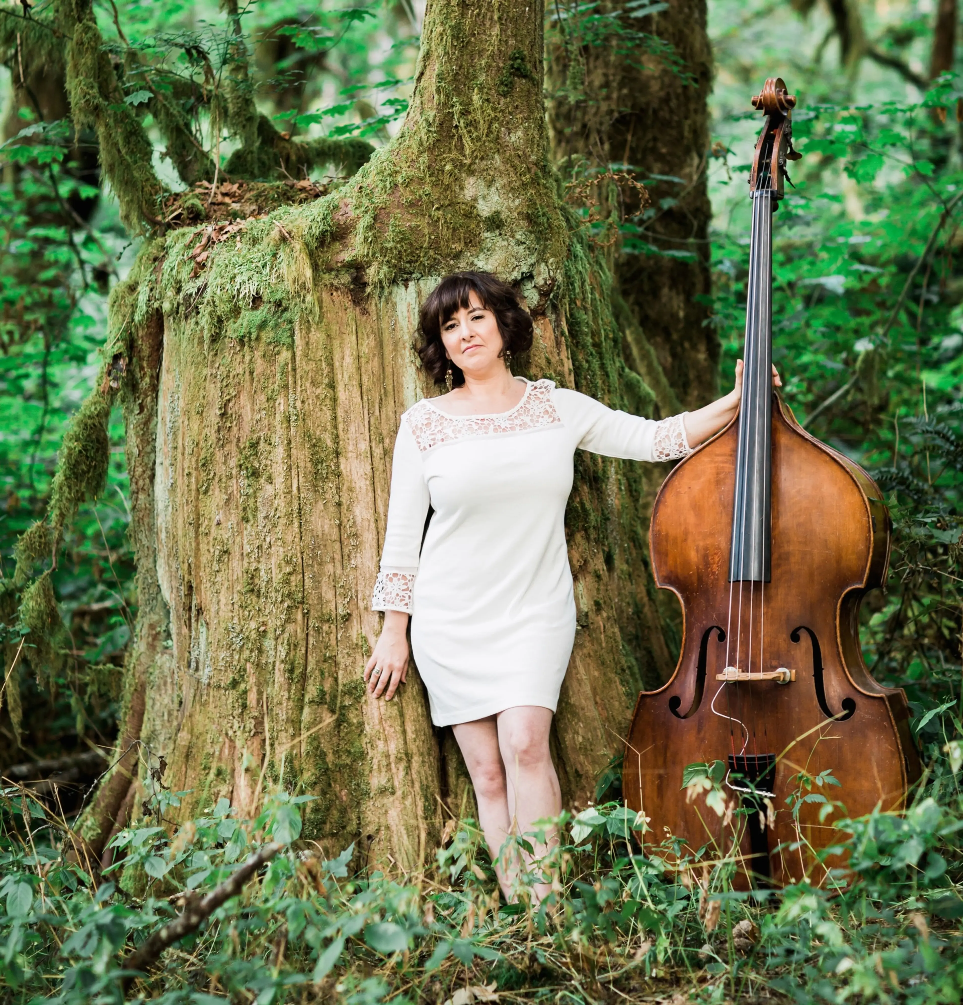 Coastal Jazz & Blues Society Announces IronFest: A Fall Jazz Concert Series