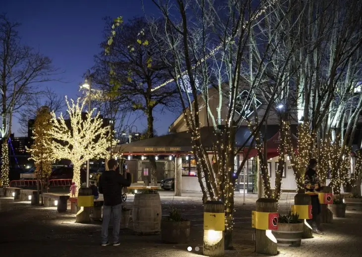 Twinkling lights wrapped around trees at Granville Island in Vancouver.